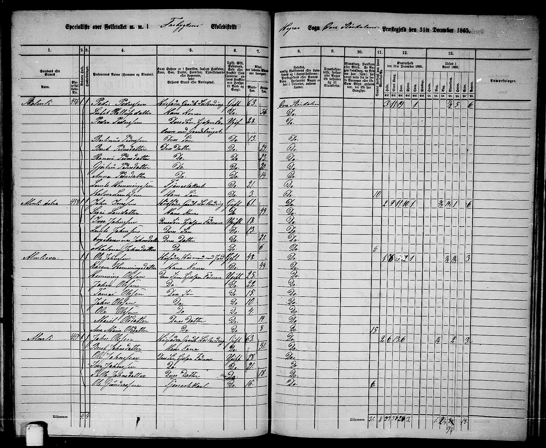 RA, 1865 census for Øvre Stjørdal, 1865, p. 110