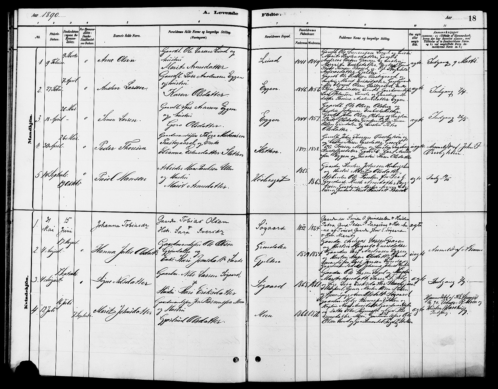 Tynset prestekontor, SAH/PREST-058/H/Ha/Hab/L0007: Parish register (copy) no. 7, 1880-1901, p. 18