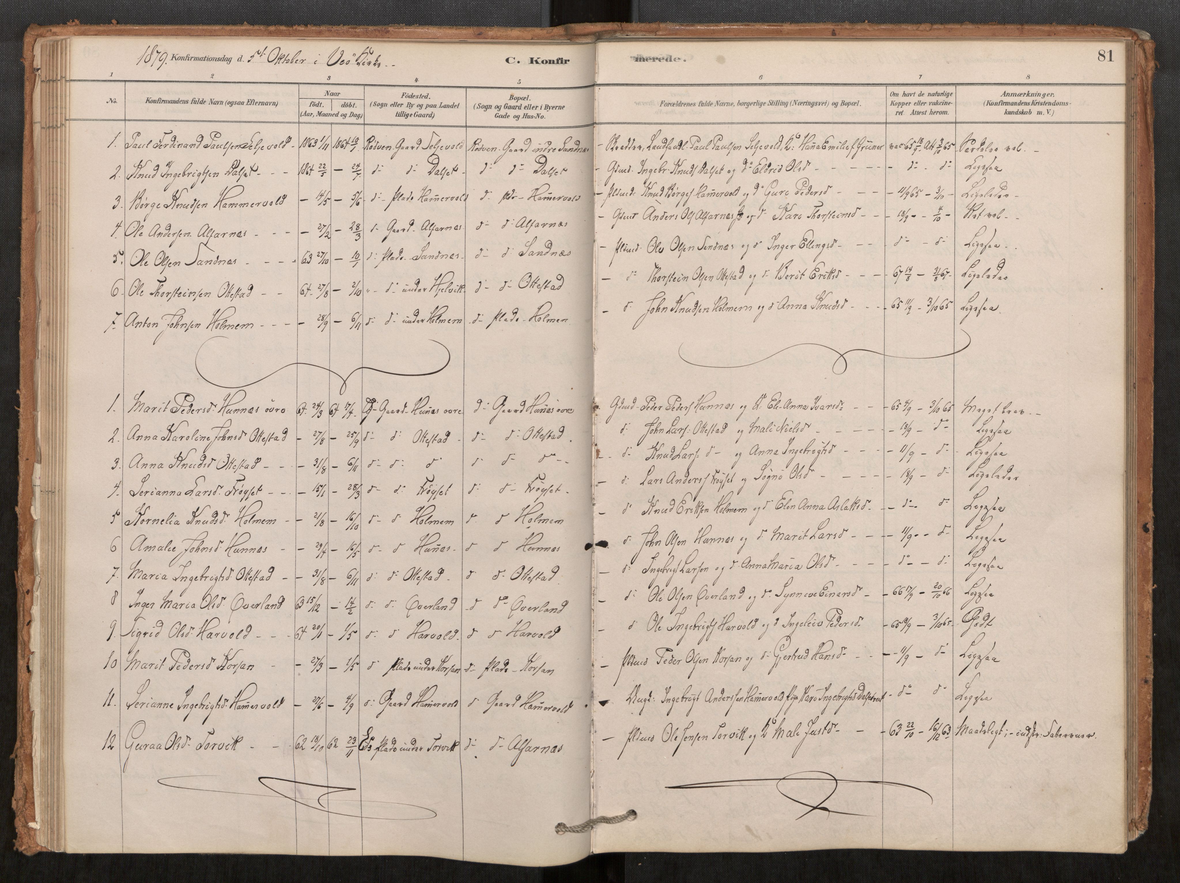 Ministerialprotokoller, klokkerbøker og fødselsregistre - Møre og Romsdal, SAT/A-1454/548/L0615: Parish register (official) no. 548A02, 1878-1906, p. 81