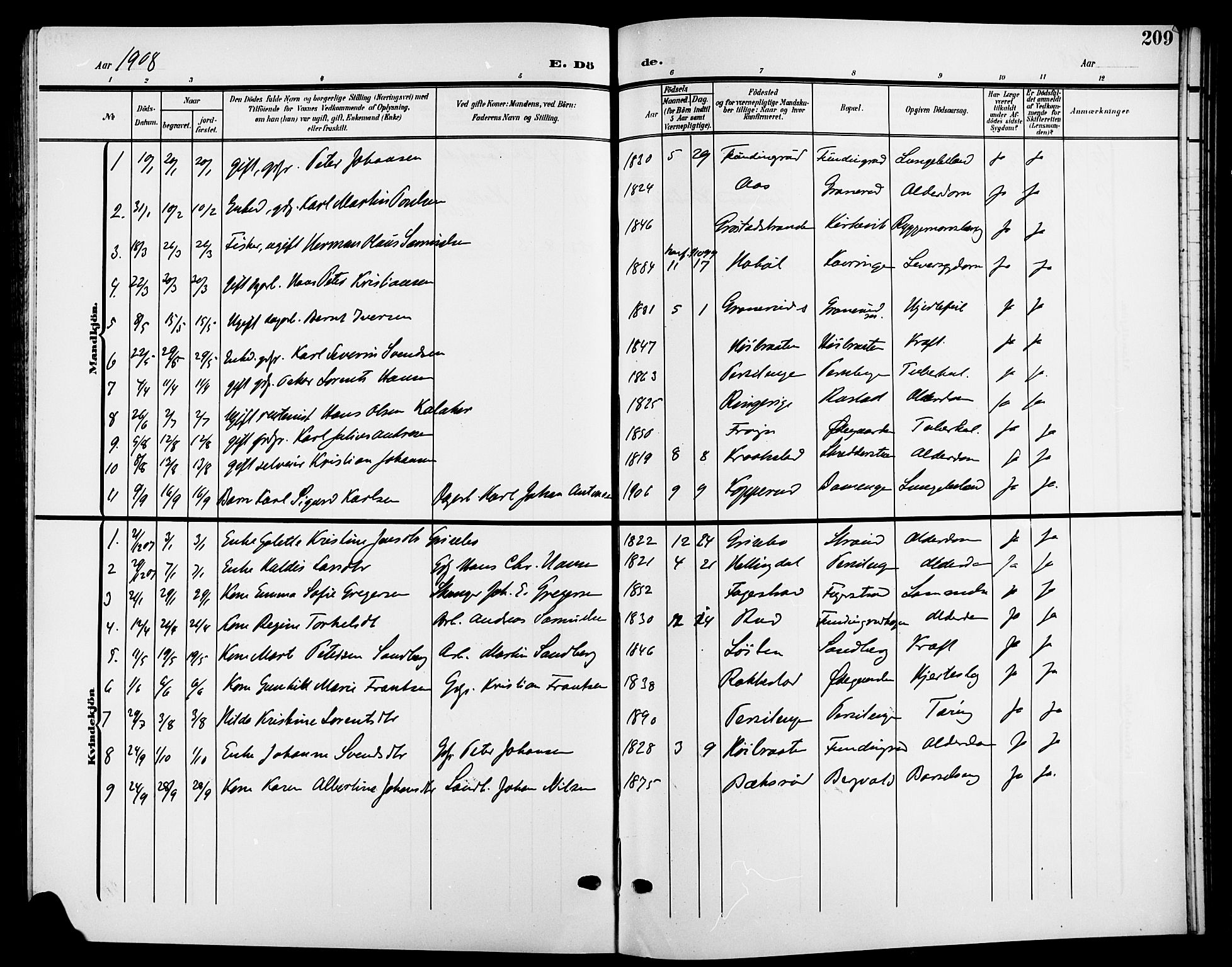 Nesodden prestekontor Kirkebøker, SAO/A-10013/G/Ga/L0002: Parish register (copy) no. I 2, 1905-1924, p. 209