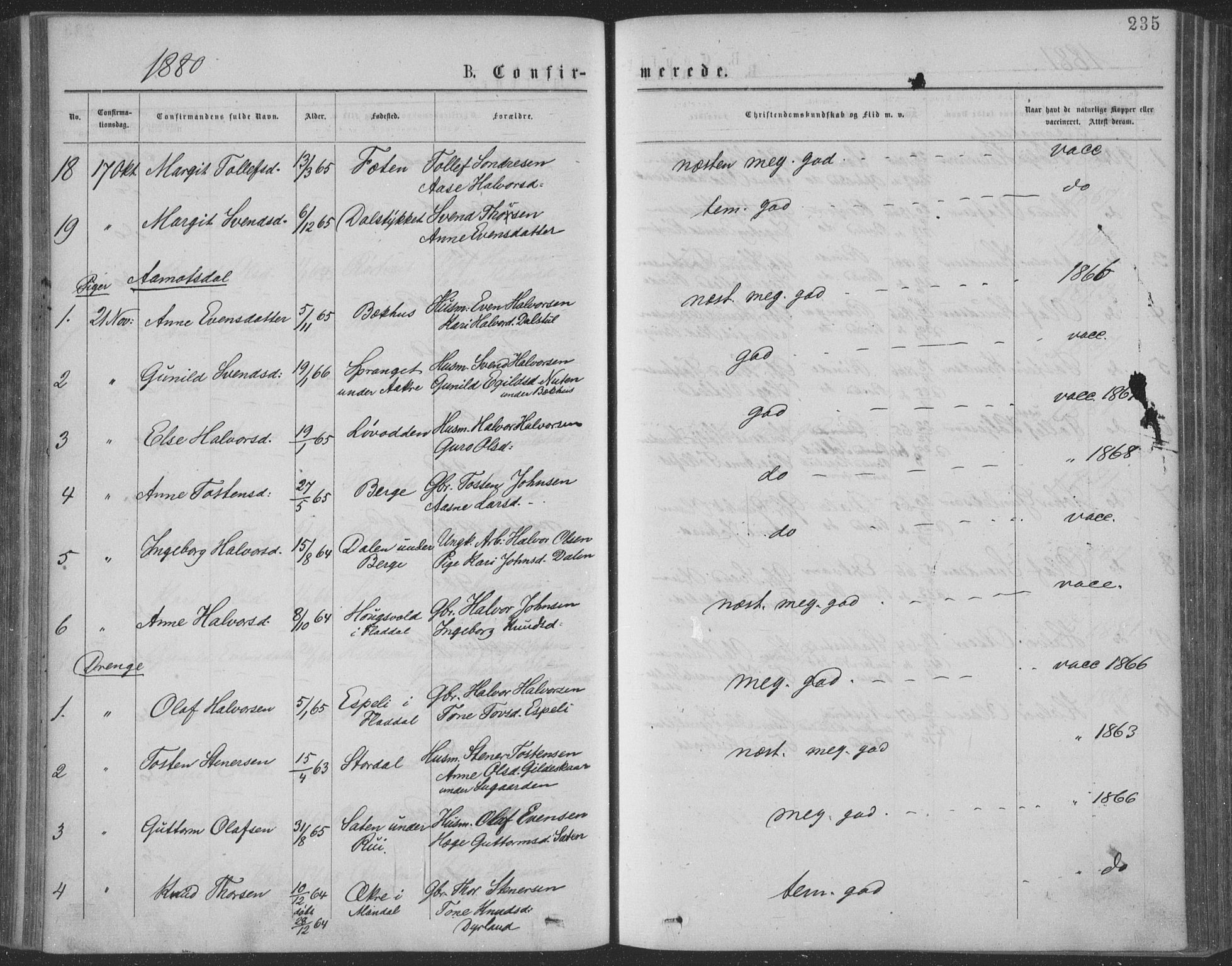 Seljord kirkebøker, SAKO/A-20/F/Fa/L0014: Parish register (official) no. I 14, 1877-1886, p. 235