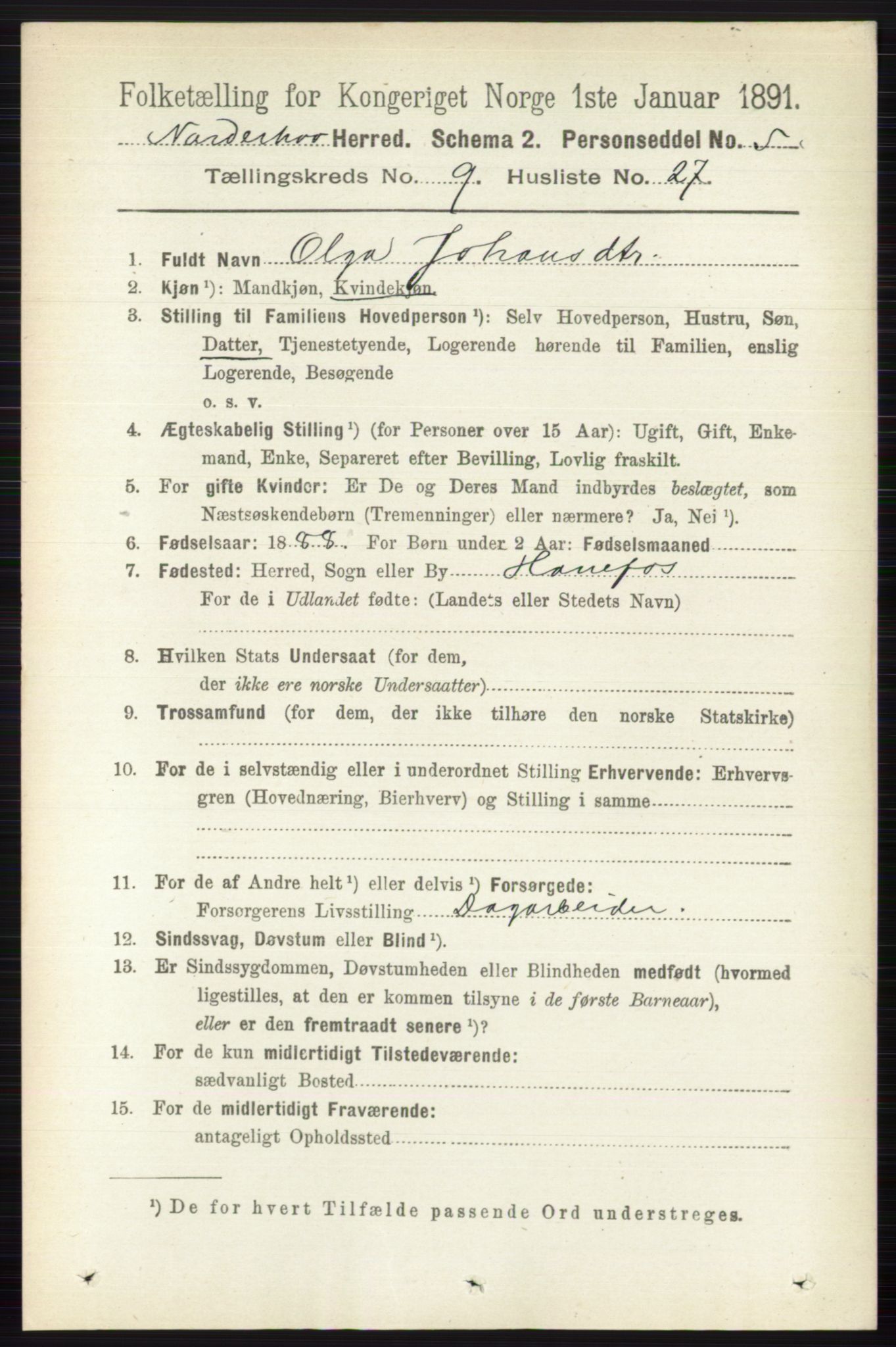 RA, 1891 census for 0613 Norderhov, 1891, p. 6769