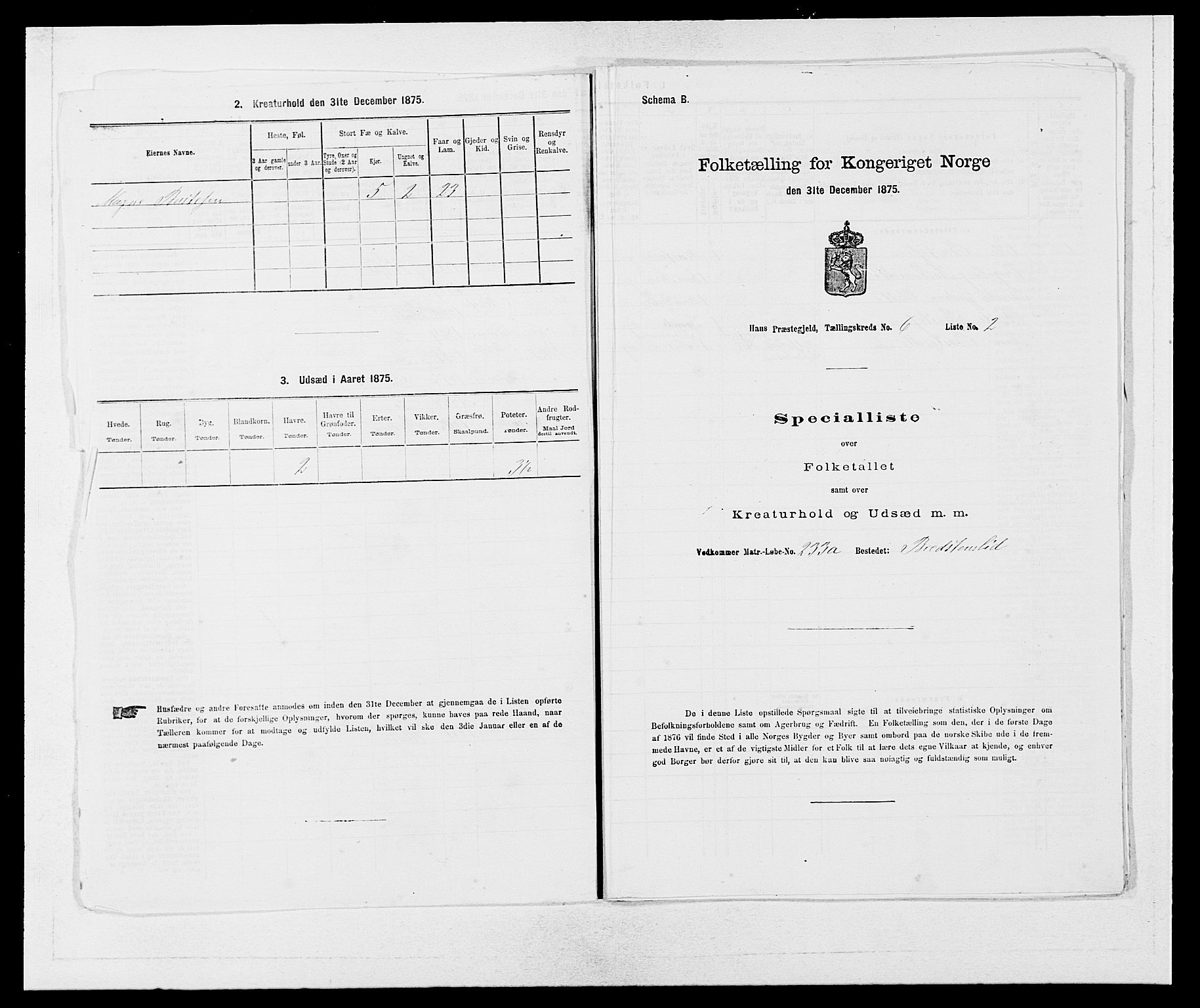 SAB, 1875 census for 1250P Haus, 1875, p. 704