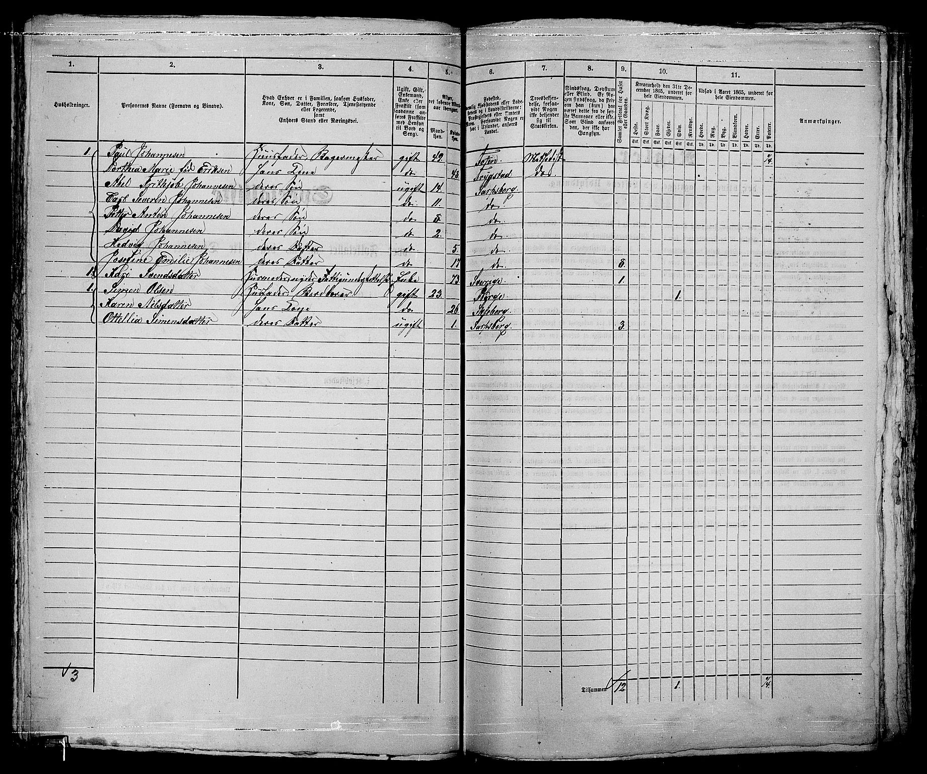 RA, 1865 census for Sarpsborg, 1865, p. 139