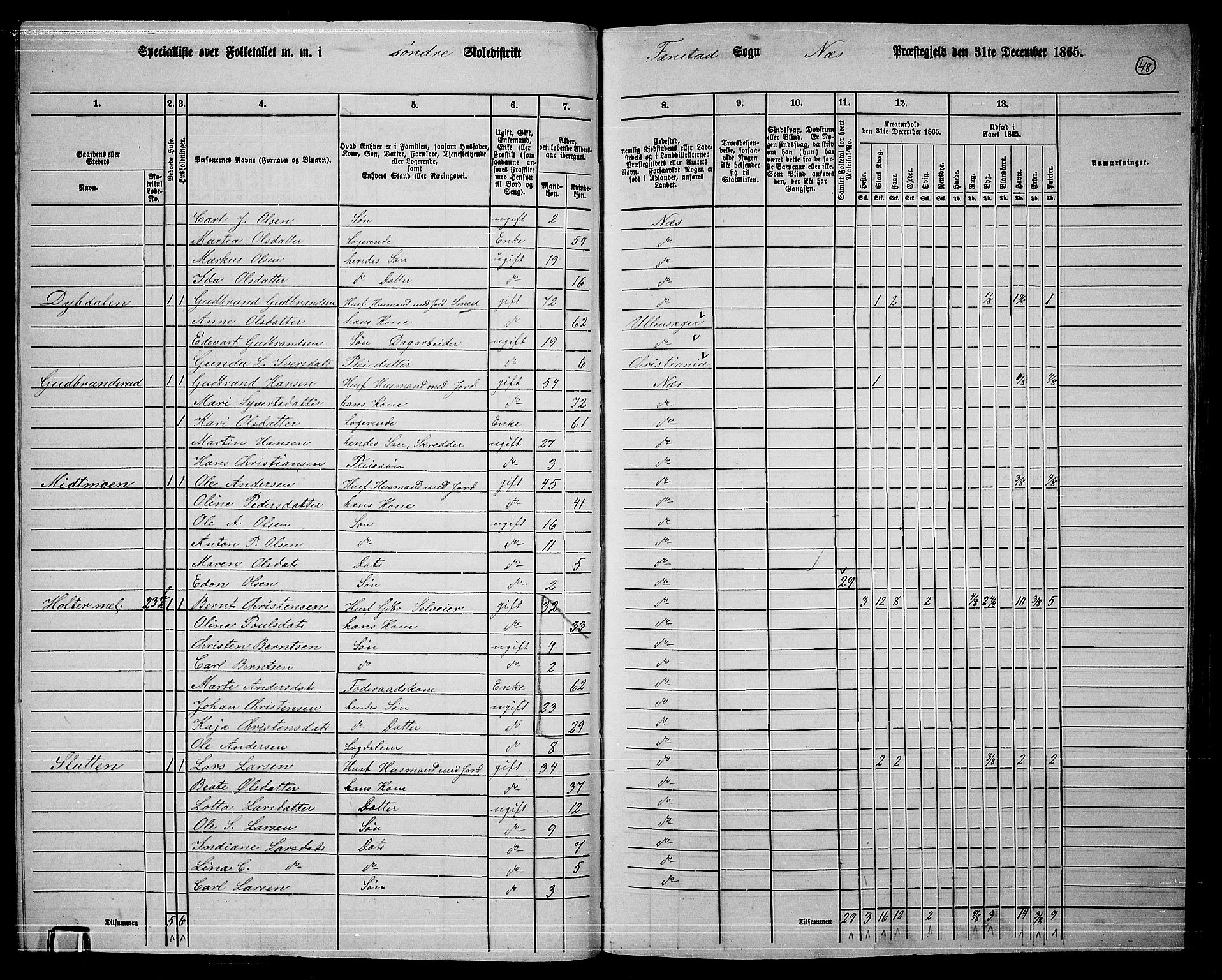 RA, 1865 census for Nes, 1865, p. 45