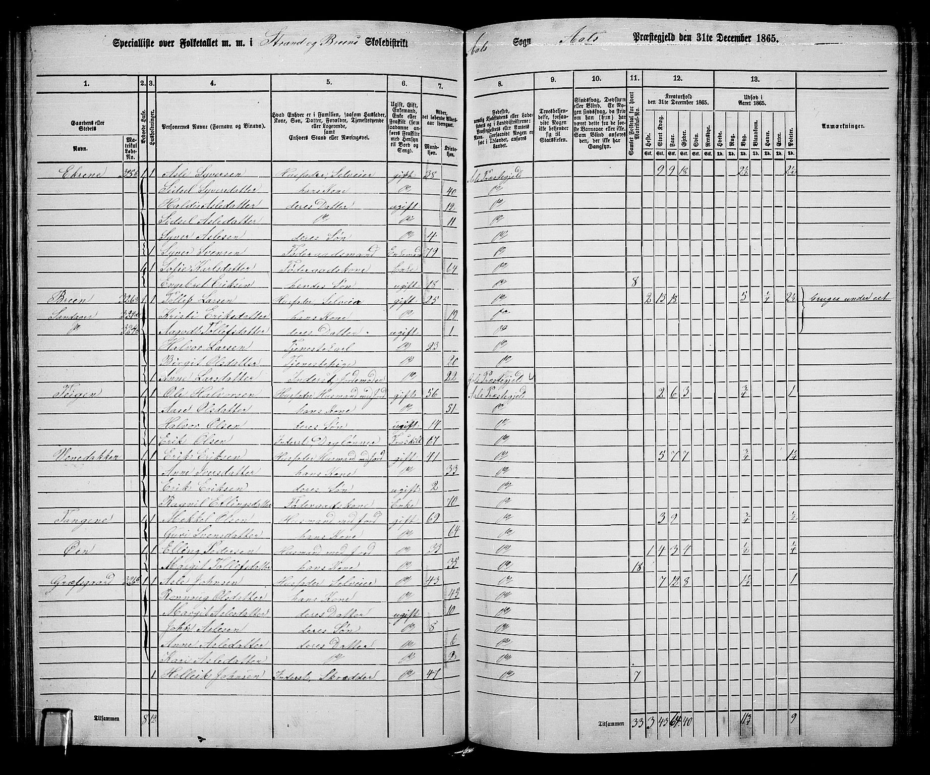 RA, 1865 census for Ål, 1865, p. 162