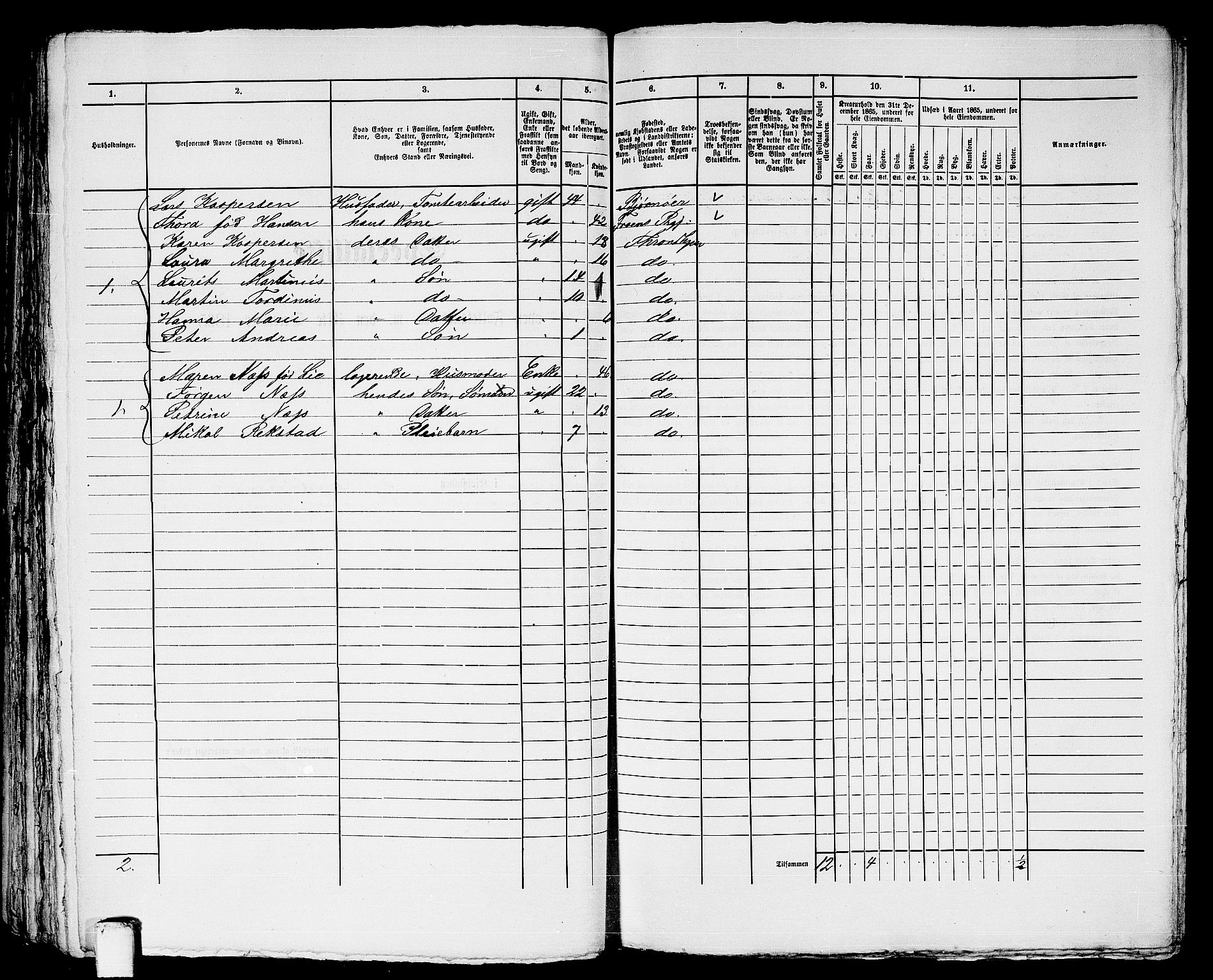 RA, 1865 census for Trondheim, 1865, p. 2326