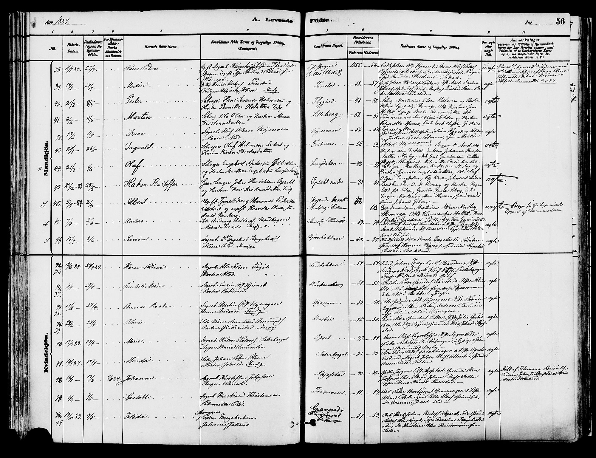 Elverum prestekontor, AV/SAH-PREST-044/H/Ha/Haa/L0013: Parish register (official) no. 13, 1880-1890, p. 56