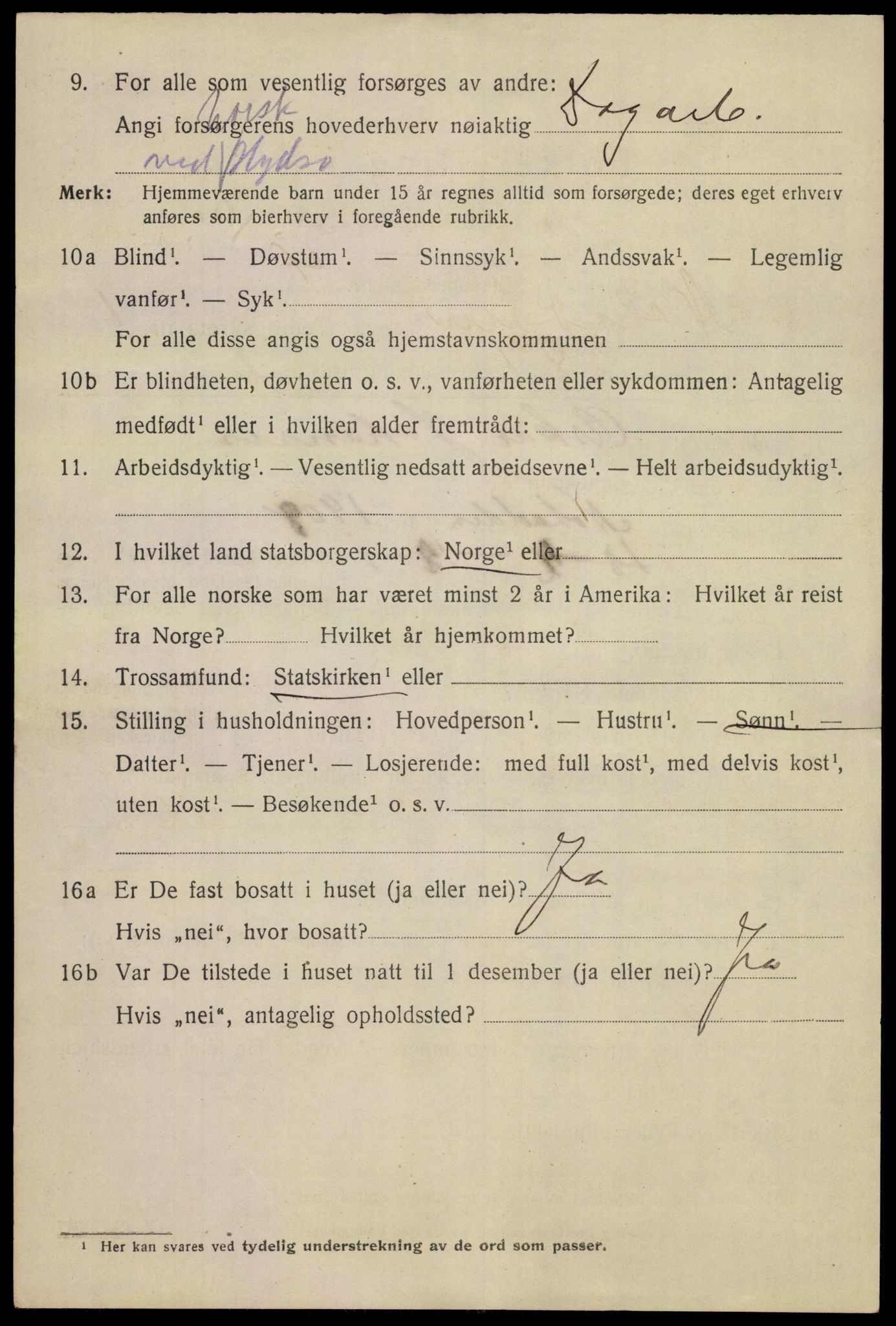 SAKO, 1920 census for Notodden, 1920, p. 6557