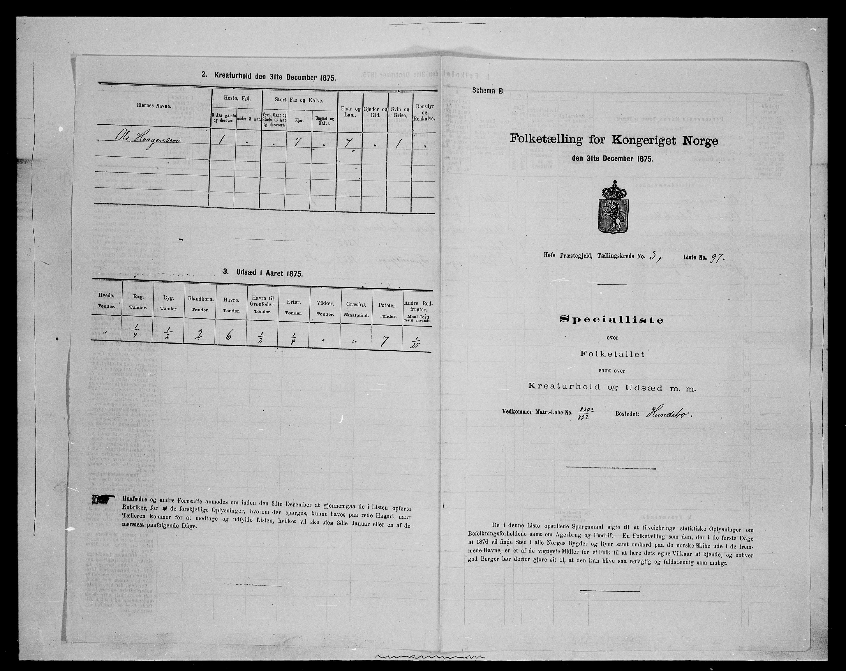 SAH, 1875 census for 0424P Hof, 1875, p. 675