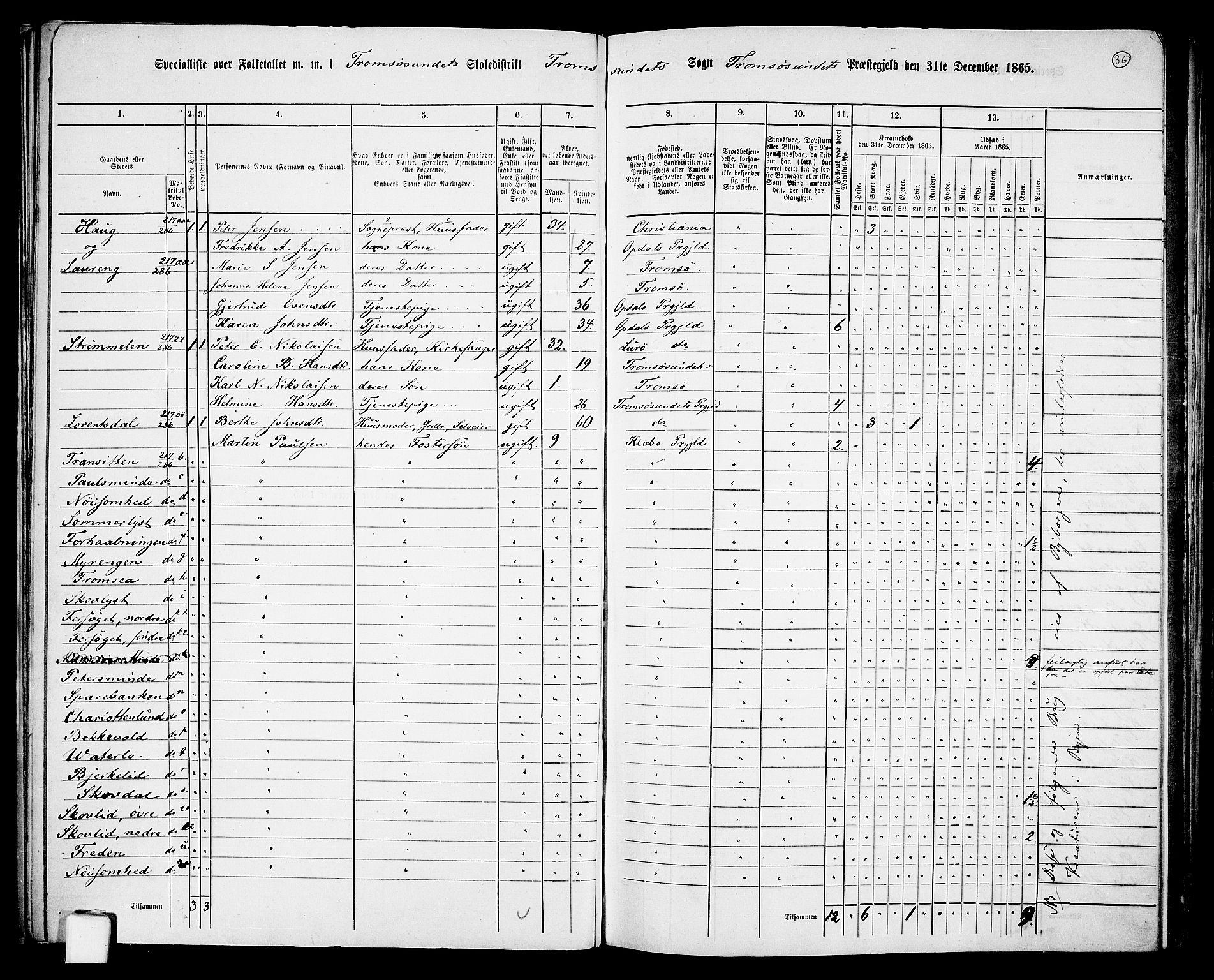 RA, 1865 census for Tromsøysund, 1865, p. 36