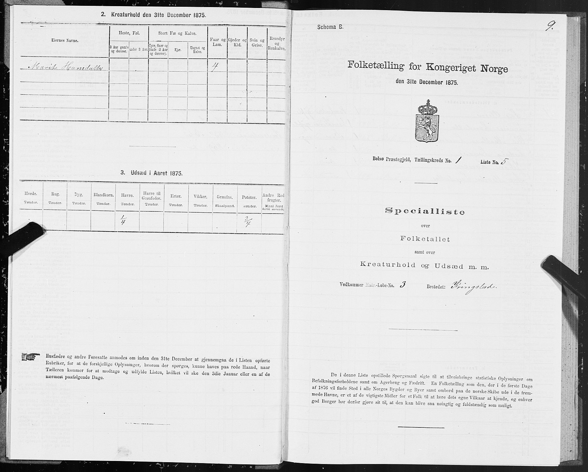 SAT, 1875 census for 1544P Bolsøy, 1875, p. 1009