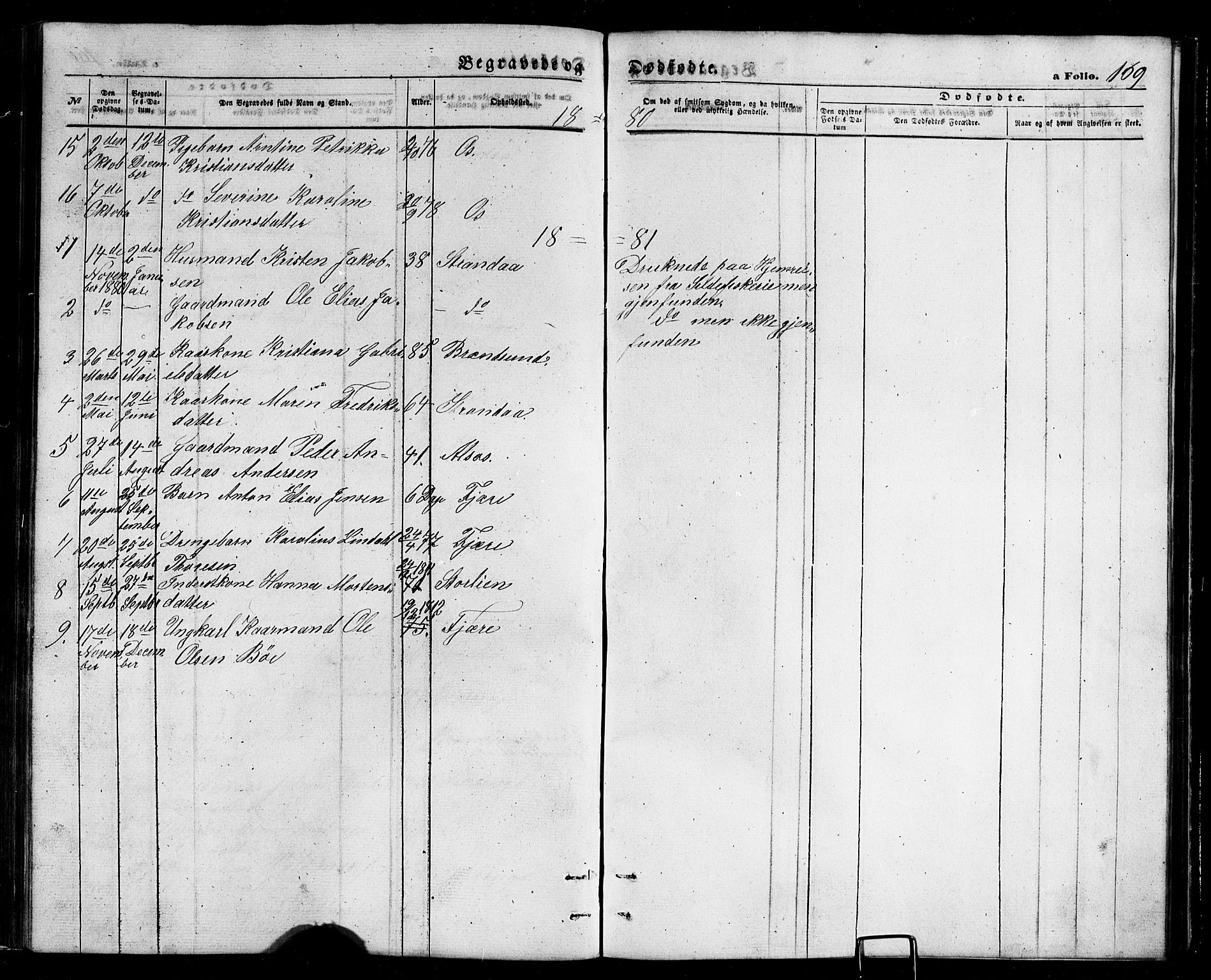 Ministerialprotokoller, klokkerbøker og fødselsregistre - Nordland, SAT/A-1459/803/L0075: Parish register (copy) no. 803C02, 1867-1881, p. 169