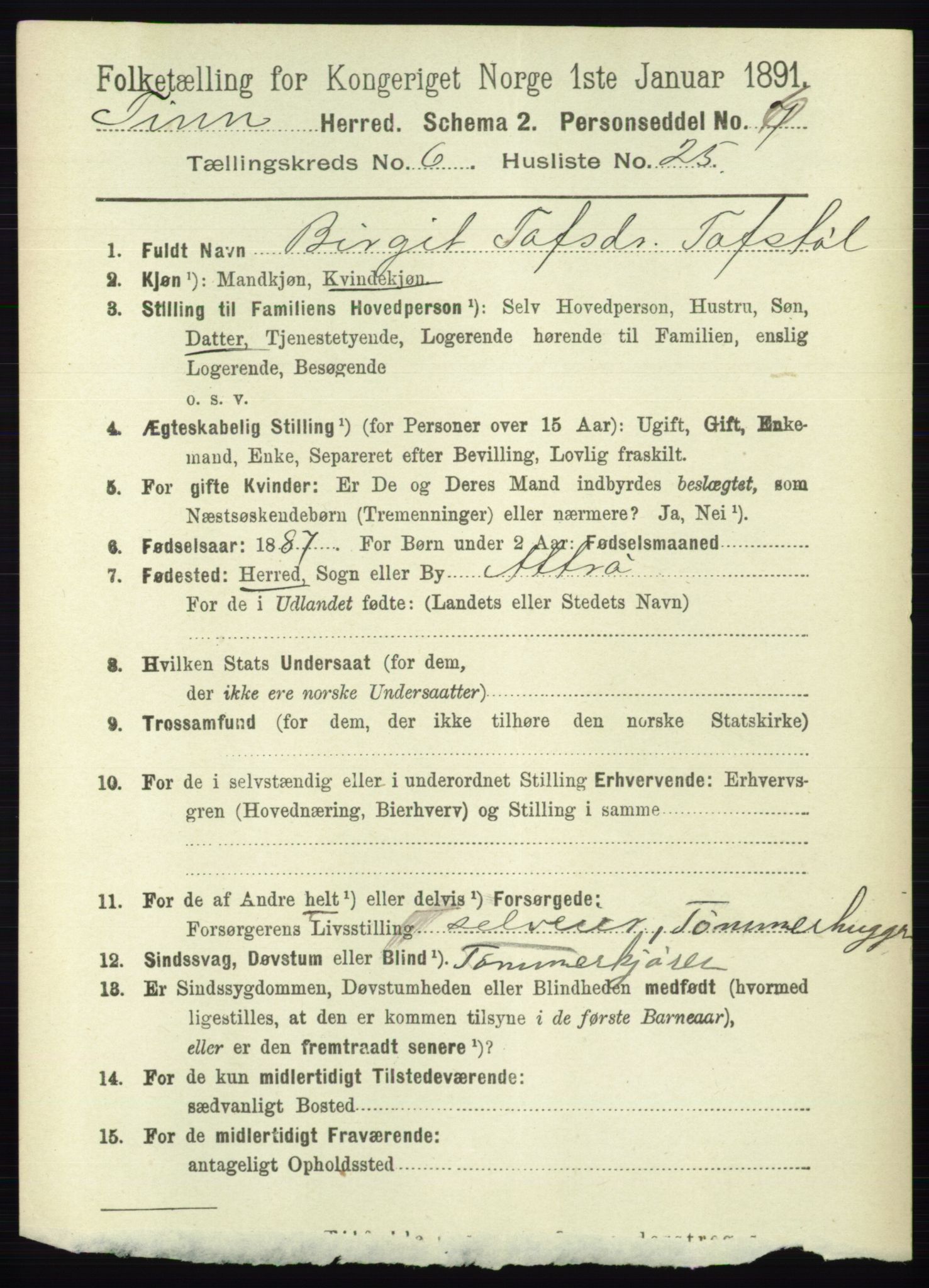 RA, 1891 census for 0826 Tinn, 1891, p. 1392