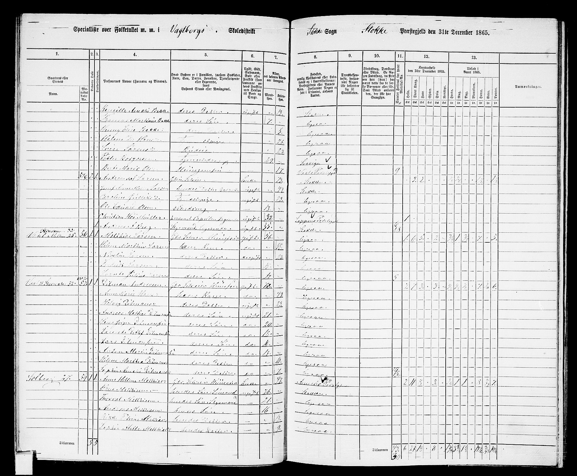 RA, 1865 census for Stokke, 1865, p. 60