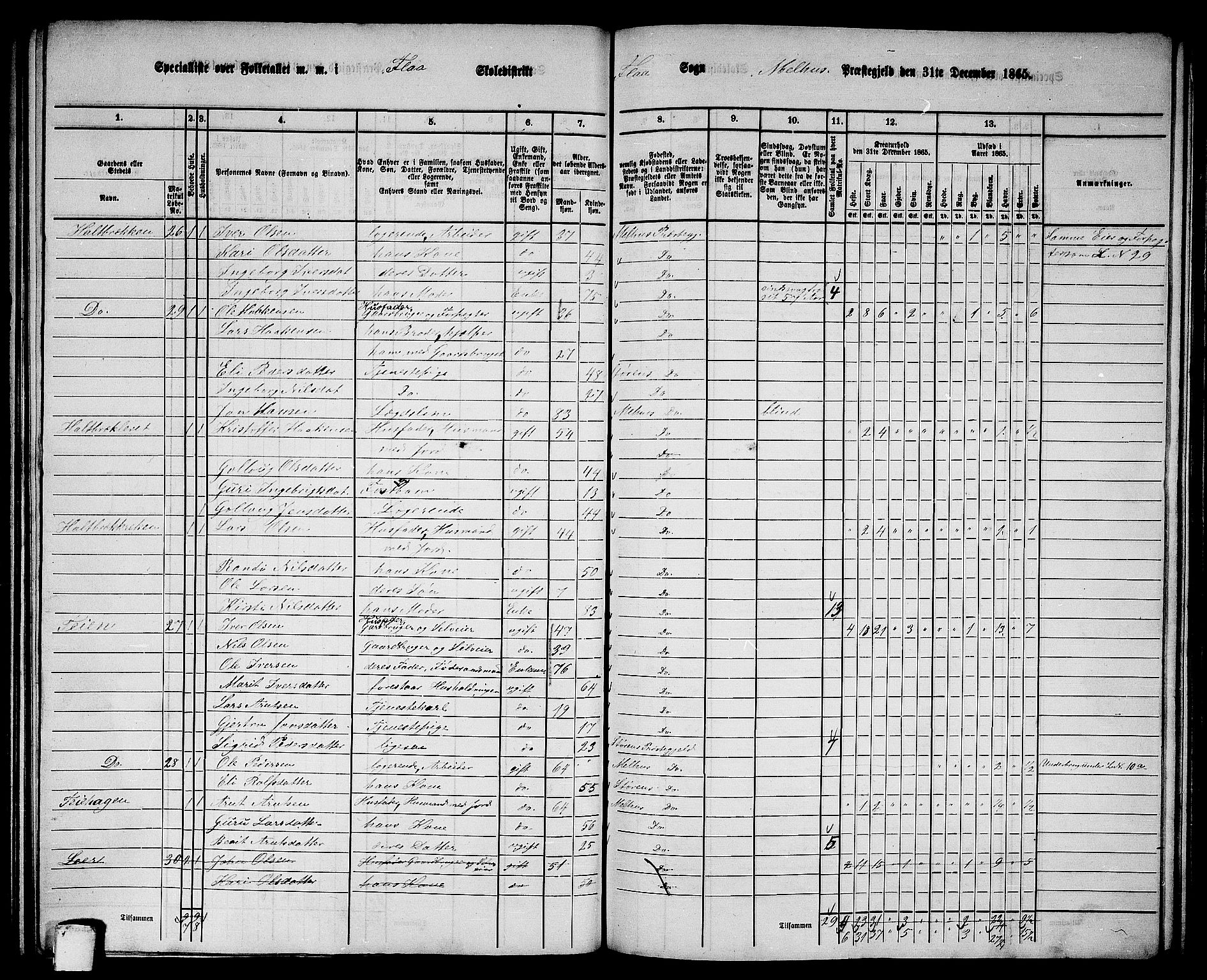 RA, 1865 census for Melhus, 1865, p. 146