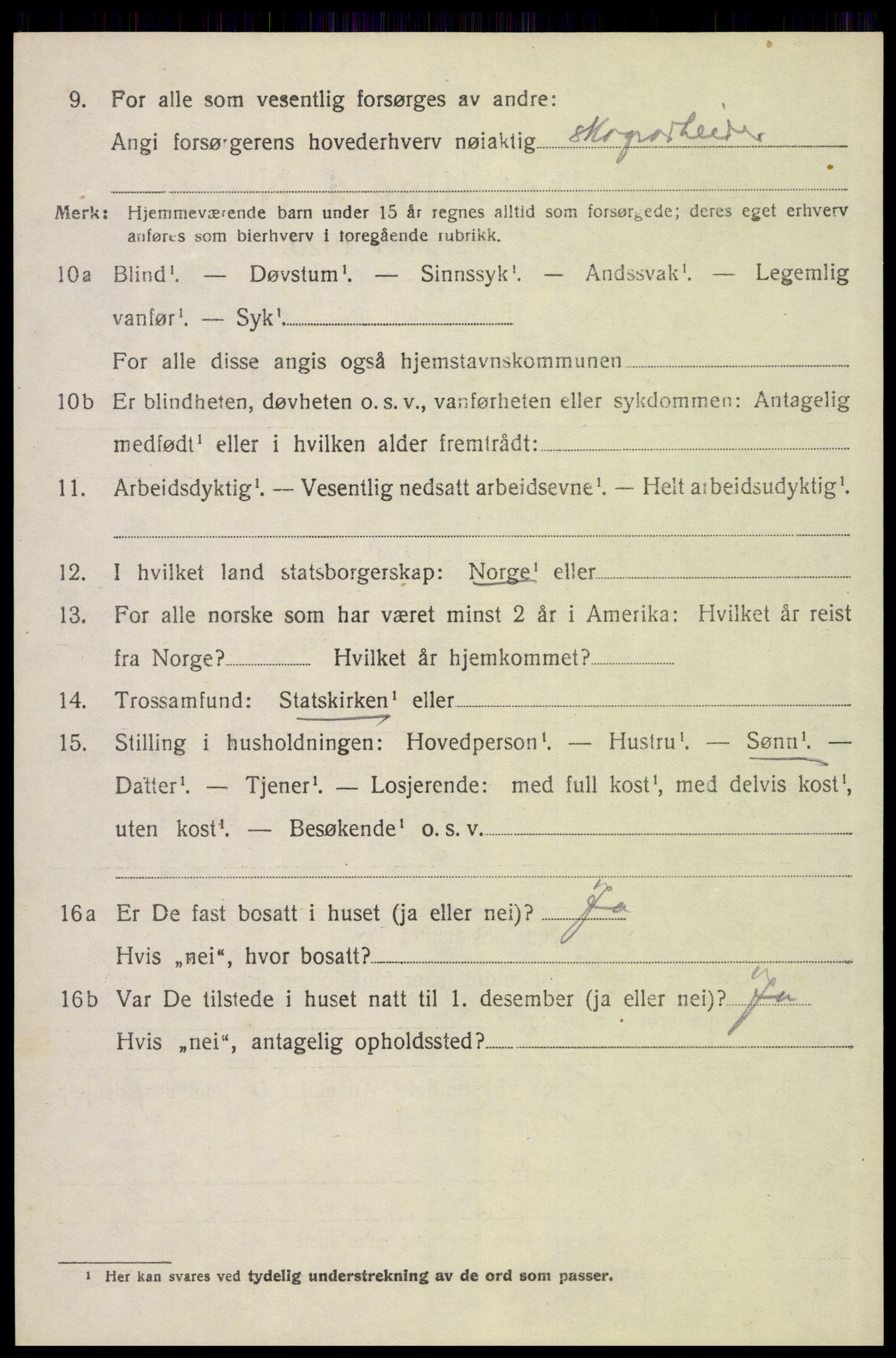 SAH, 1920 census for Elverum, 1920, p. 16055