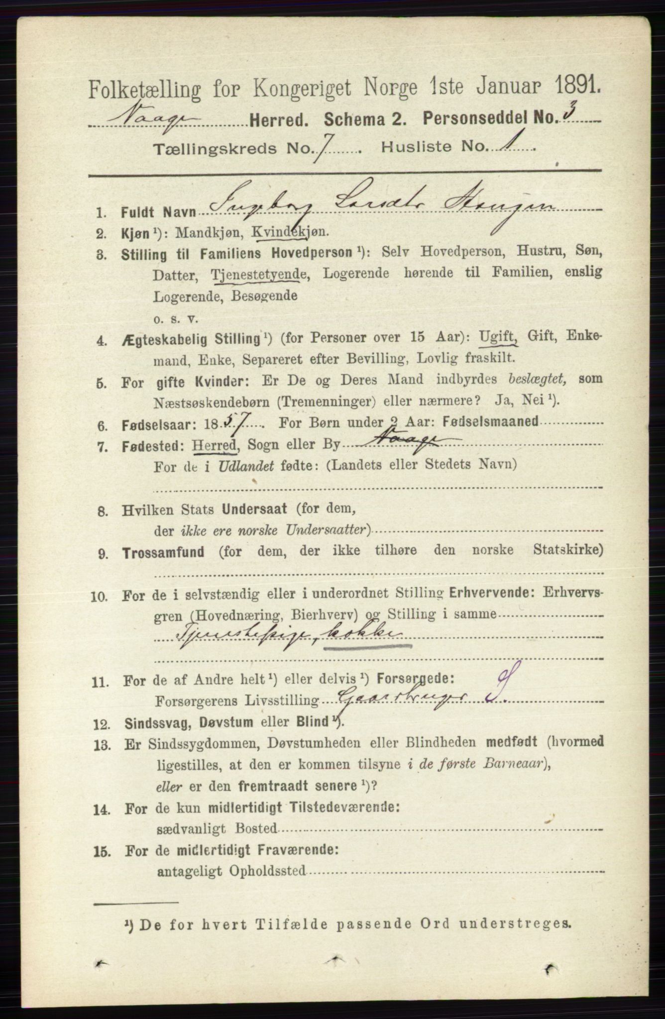 RA, 1891 census for 0515 Vågå, 1891, p. 4328