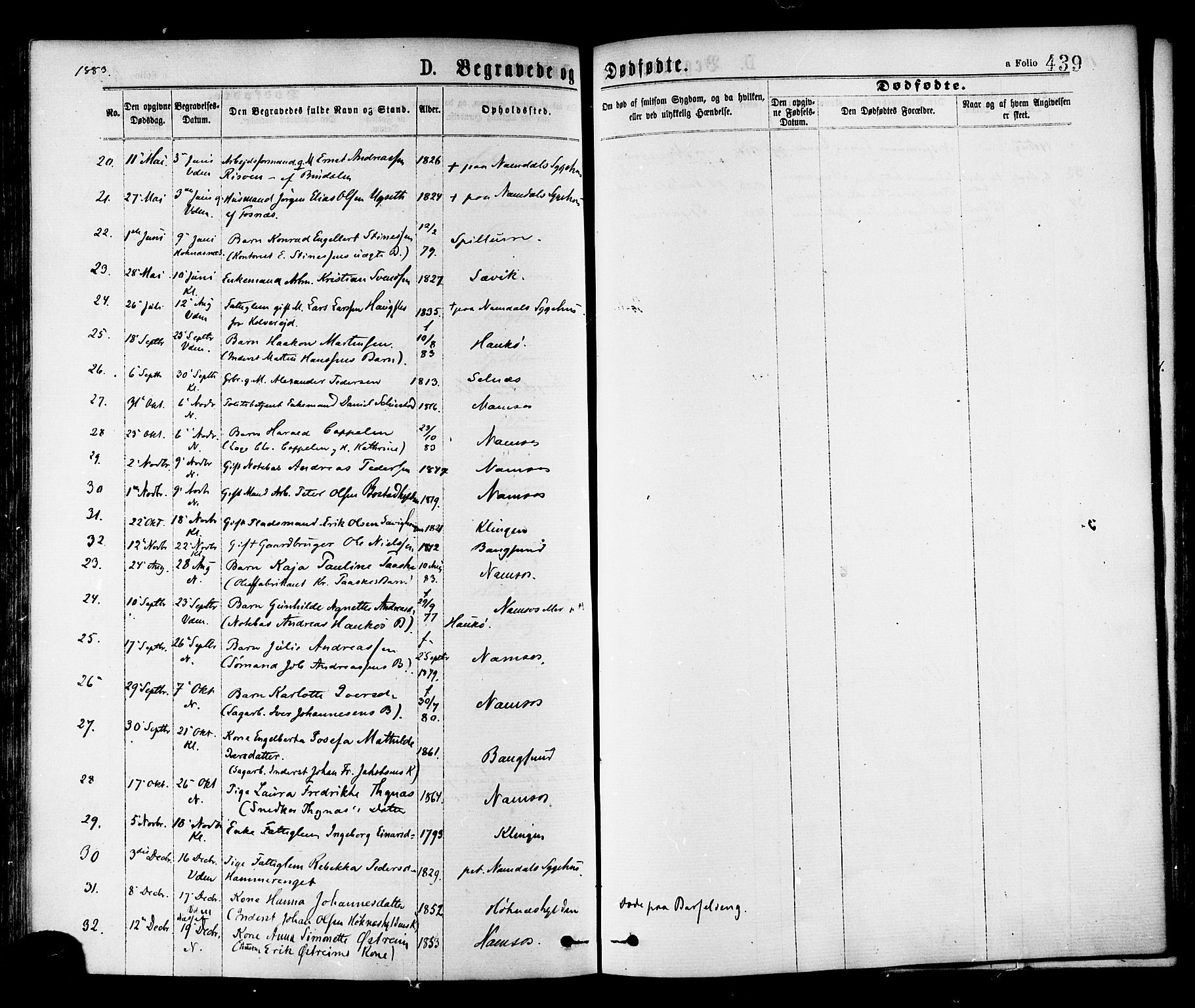 Ministerialprotokoller, klokkerbøker og fødselsregistre - Nord-Trøndelag, AV/SAT-A-1458/768/L0572: Parish register (official) no. 768A07, 1874-1886, p. 439