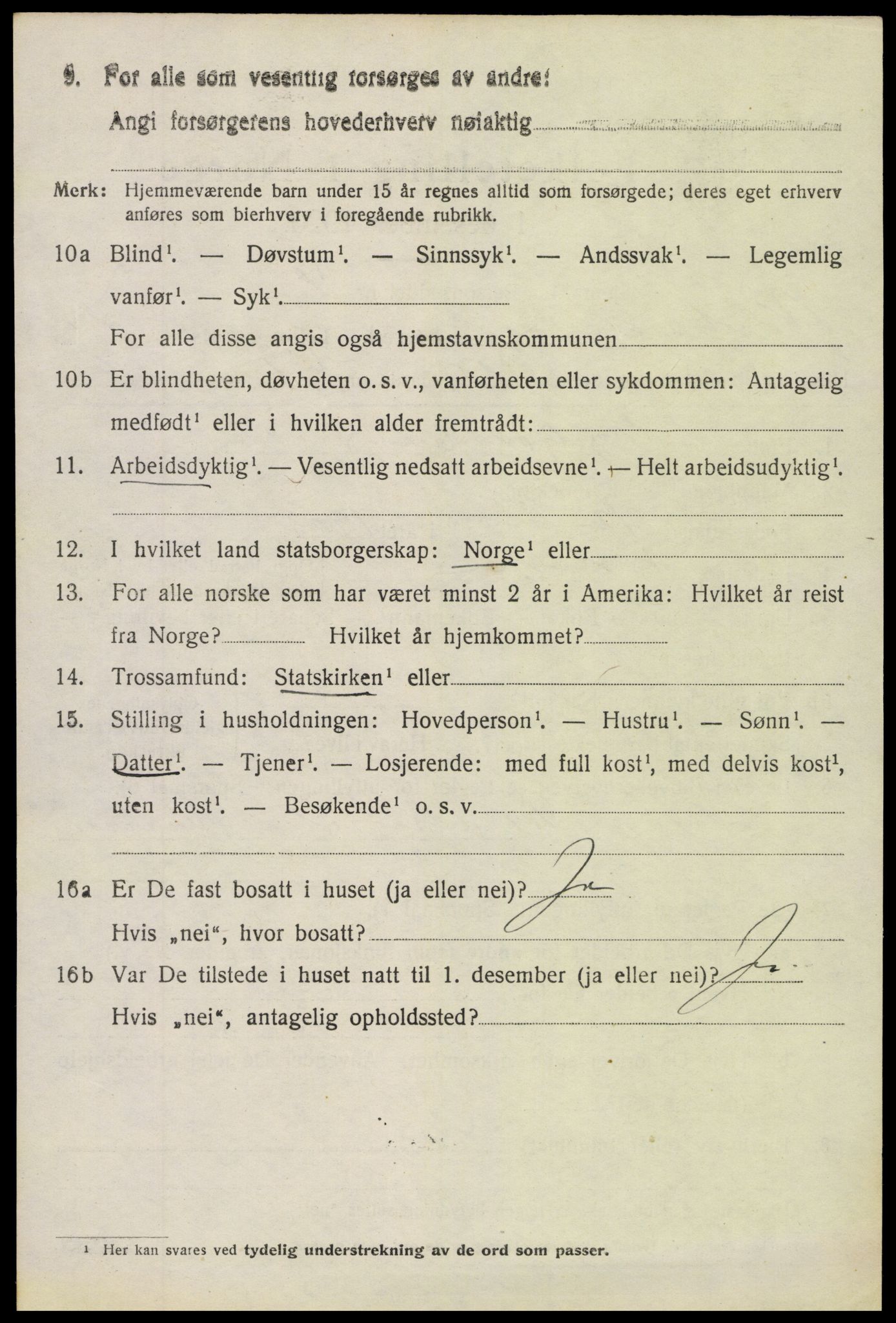 SAH, 1920 census for Vestre Slidre, 1920, p. 4027