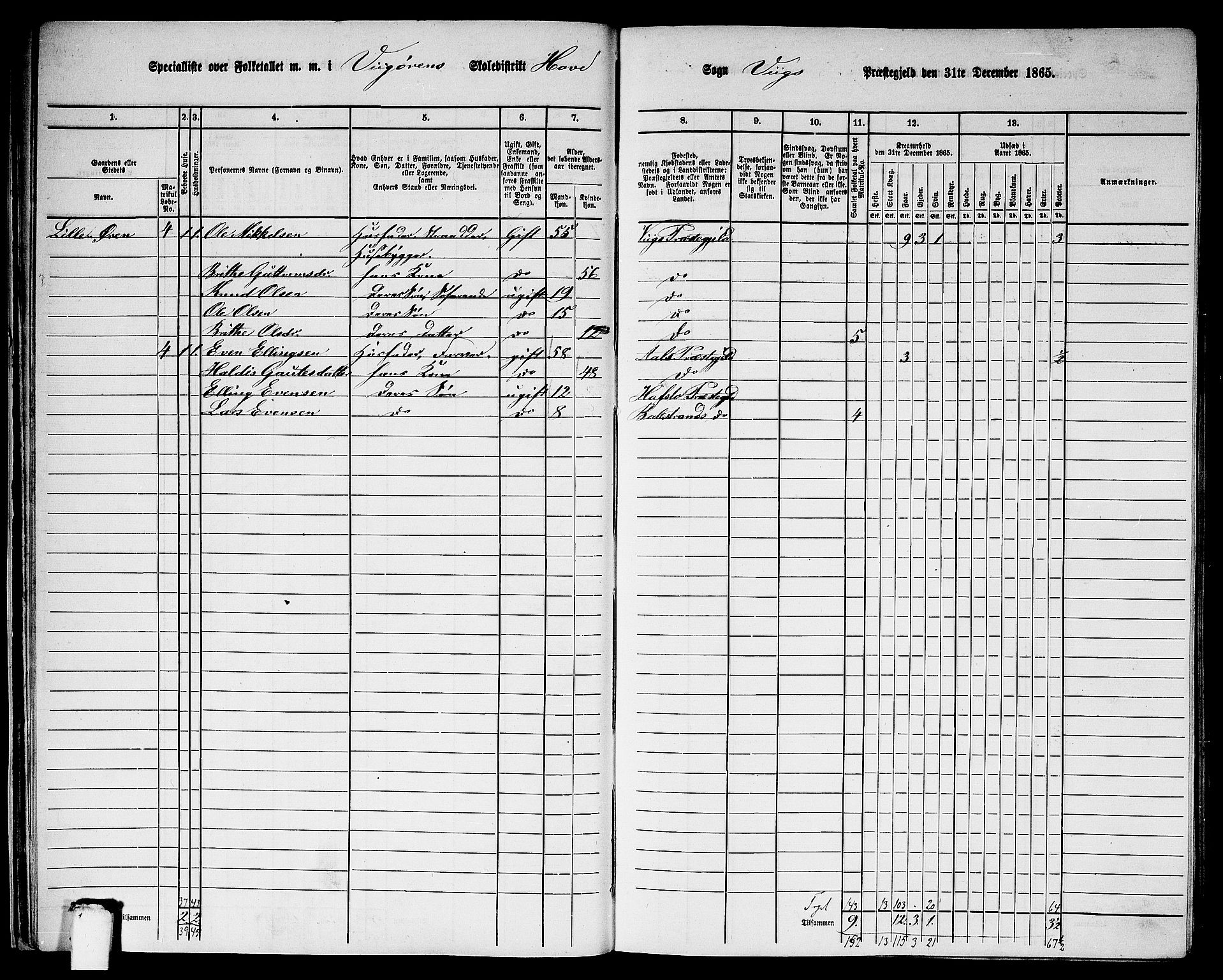 RA, 1865 census for Vik, 1865, p. 29