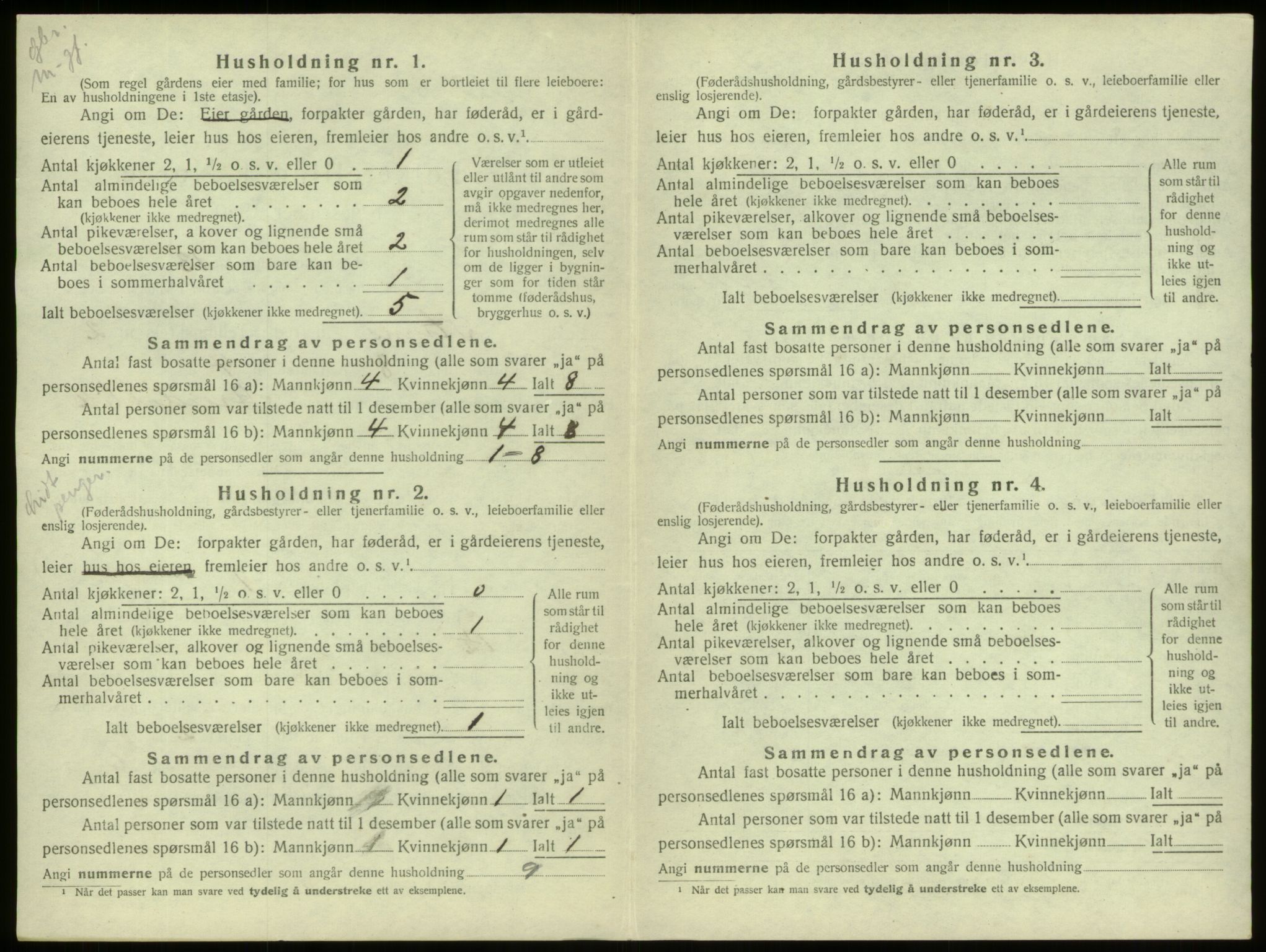 SAB, 1920 census for Stryn, 1920, p. 101