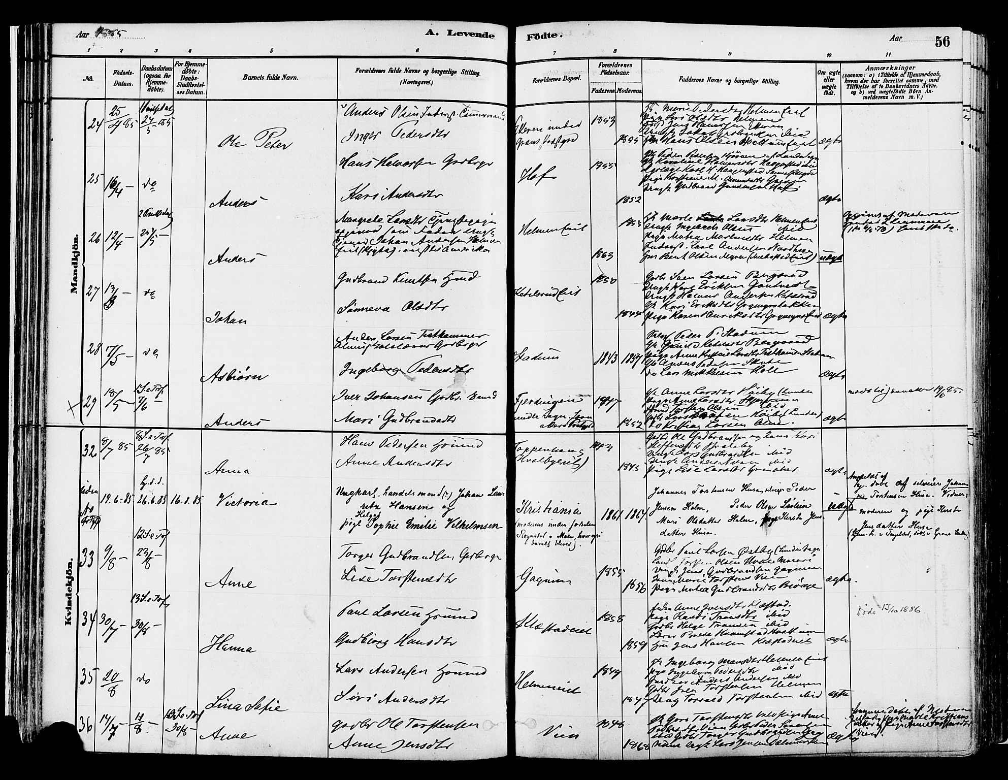 Gran prestekontor, AV/SAH-PREST-112/H/Ha/Haa/L0014: Parish register (official) no. 14, 1880-1889, p. 56