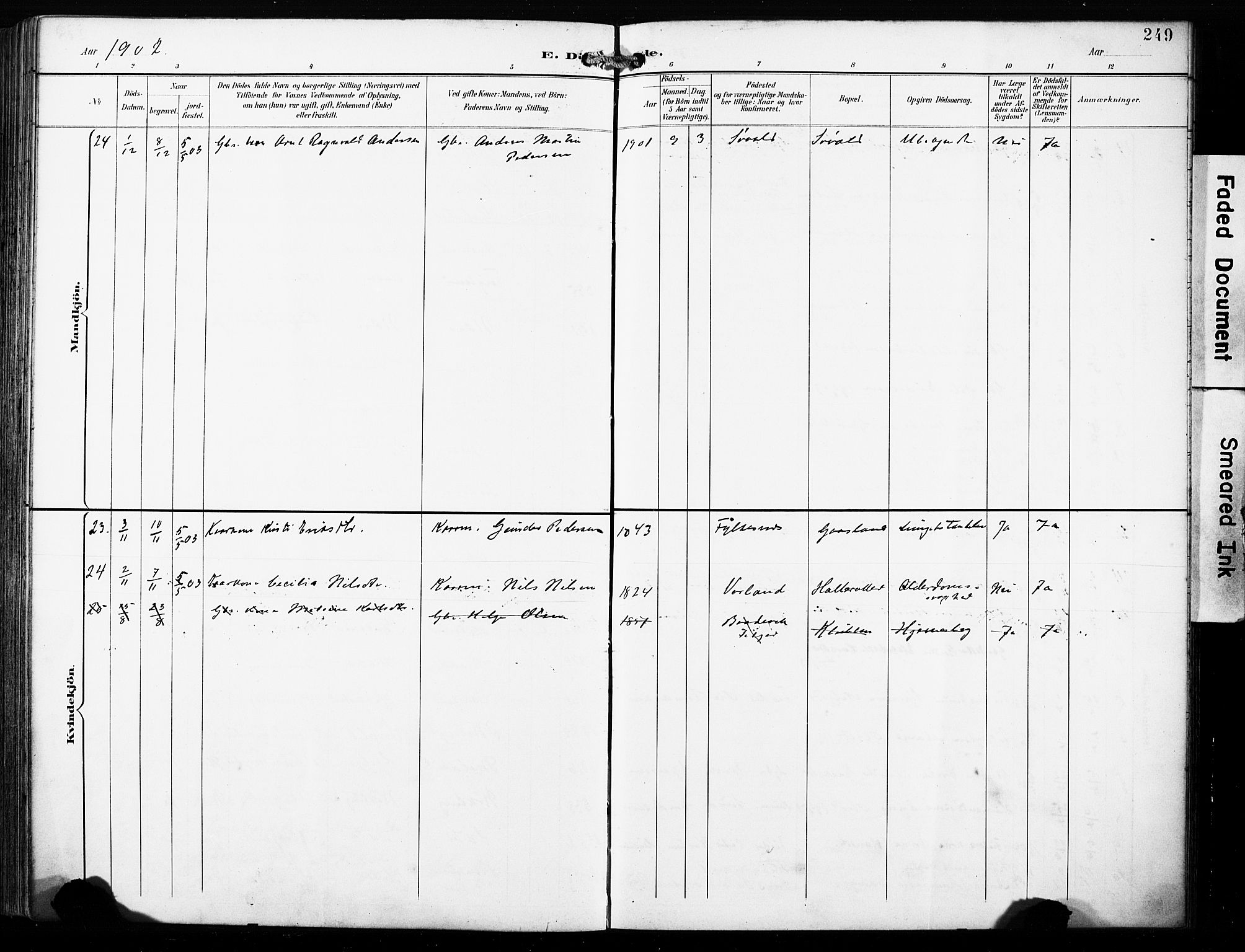 Finnås sokneprestembete, AV/SAB-A-99925/H/Ha/Haa/Haac/L0002: Parish register (official) no. C 2, 1895-1904, p. 249