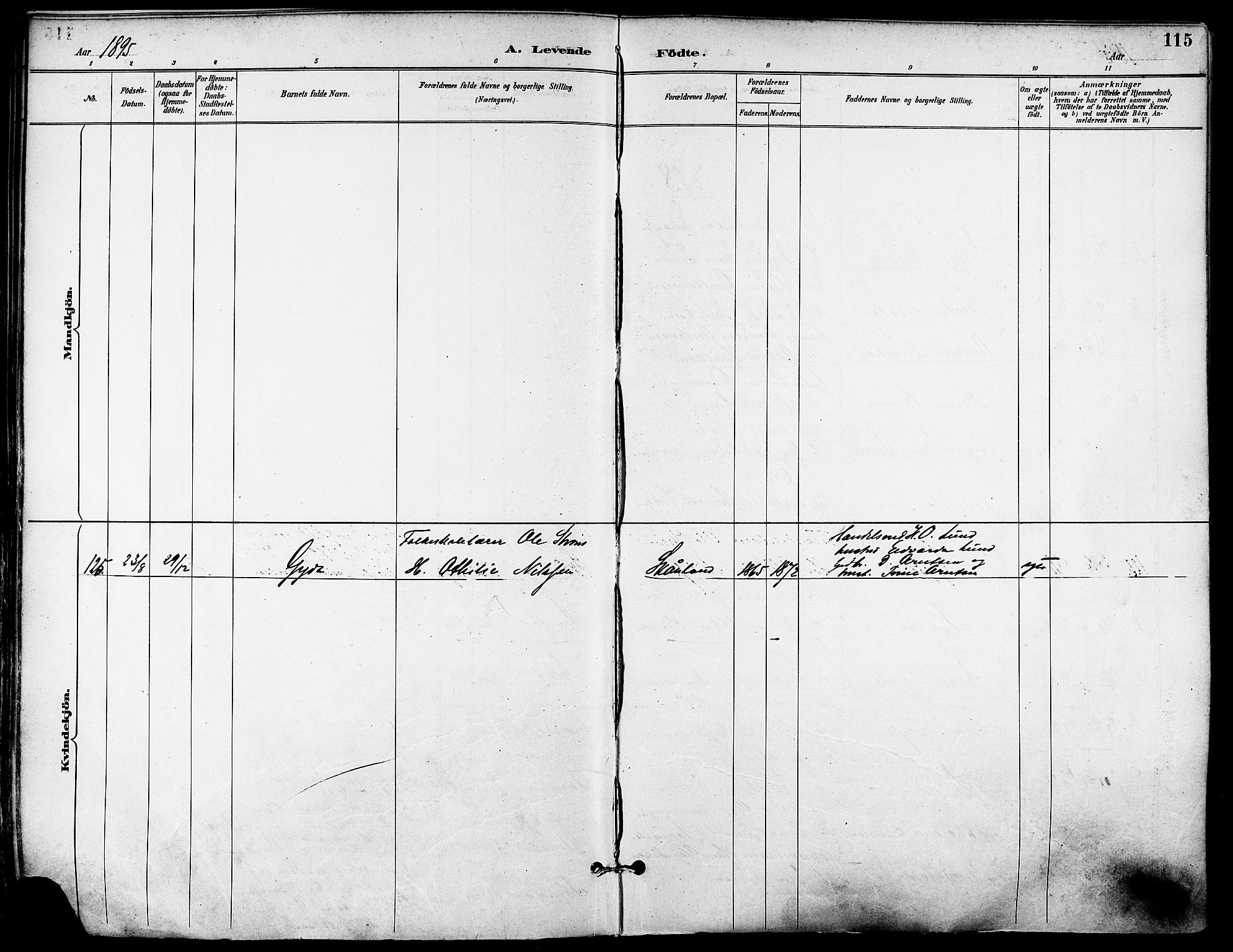 Trondenes sokneprestkontor, AV/SATØ-S-1319/H/Ha/L0016kirke: Parish register (official) no. 16, 1890-1898, p. 115