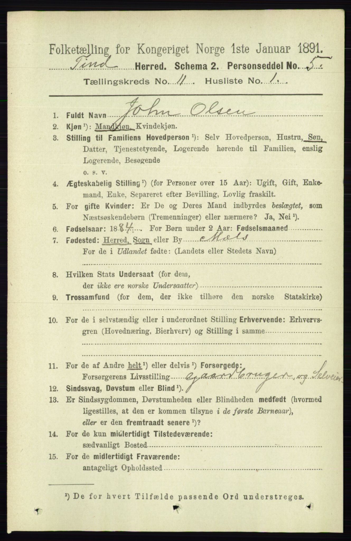 RA, 1891 census for 0826 Tinn, 1891, p. 2124