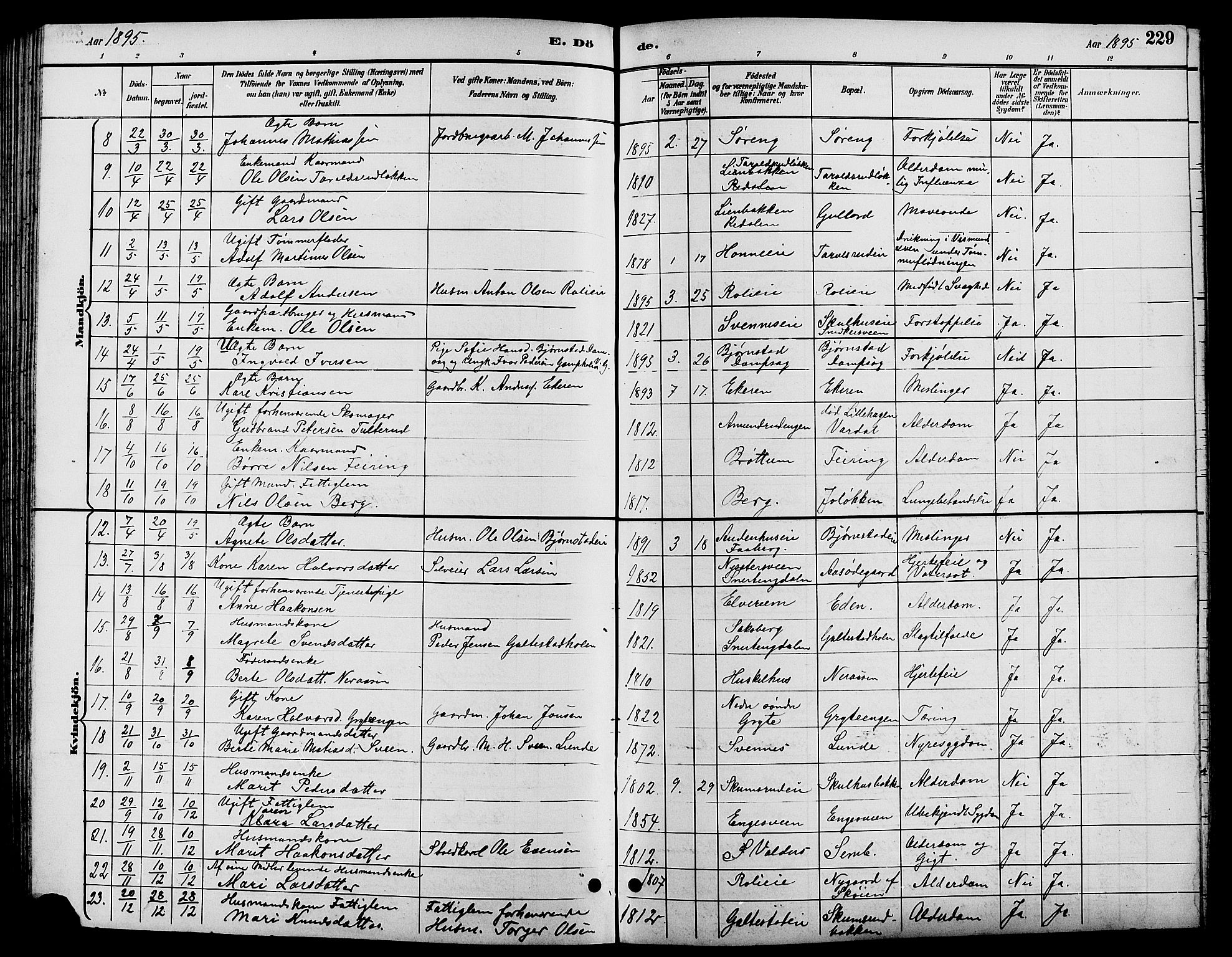 Biri prestekontor, SAH/PREST-096/H/Ha/Hab/L0004: Parish register (copy) no. 4, 1892-1909, p. 229