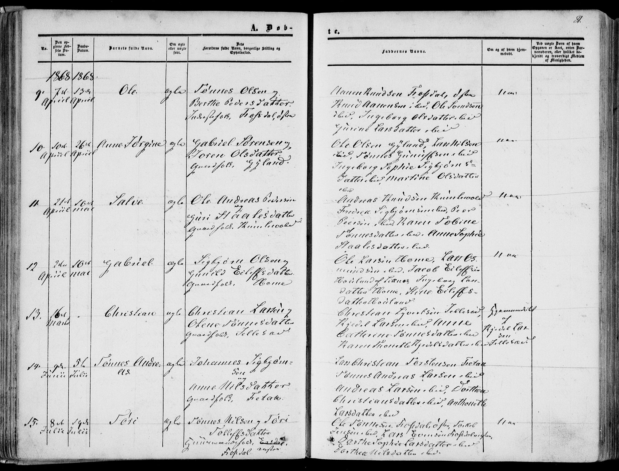 Bakke sokneprestkontor, AV/SAK-1111-0002/F/Fa/Fab/L0002: Parish register (official) no. A 2, 1855-1884, p. 81