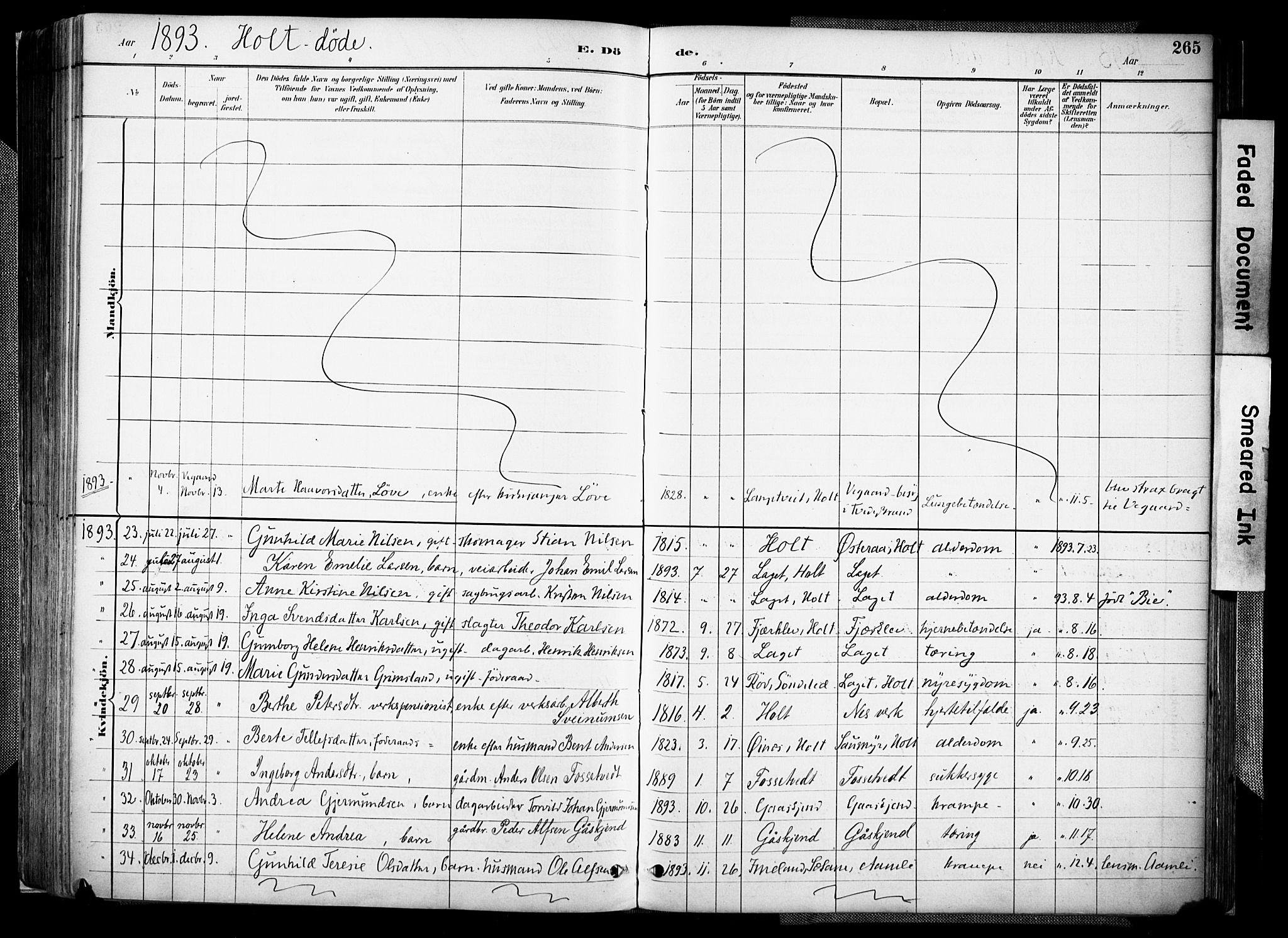 Holt sokneprestkontor, AV/SAK-1111-0021/F/Fa/L0012: Parish register (official) no. A 12, 1885-1907, p. 265