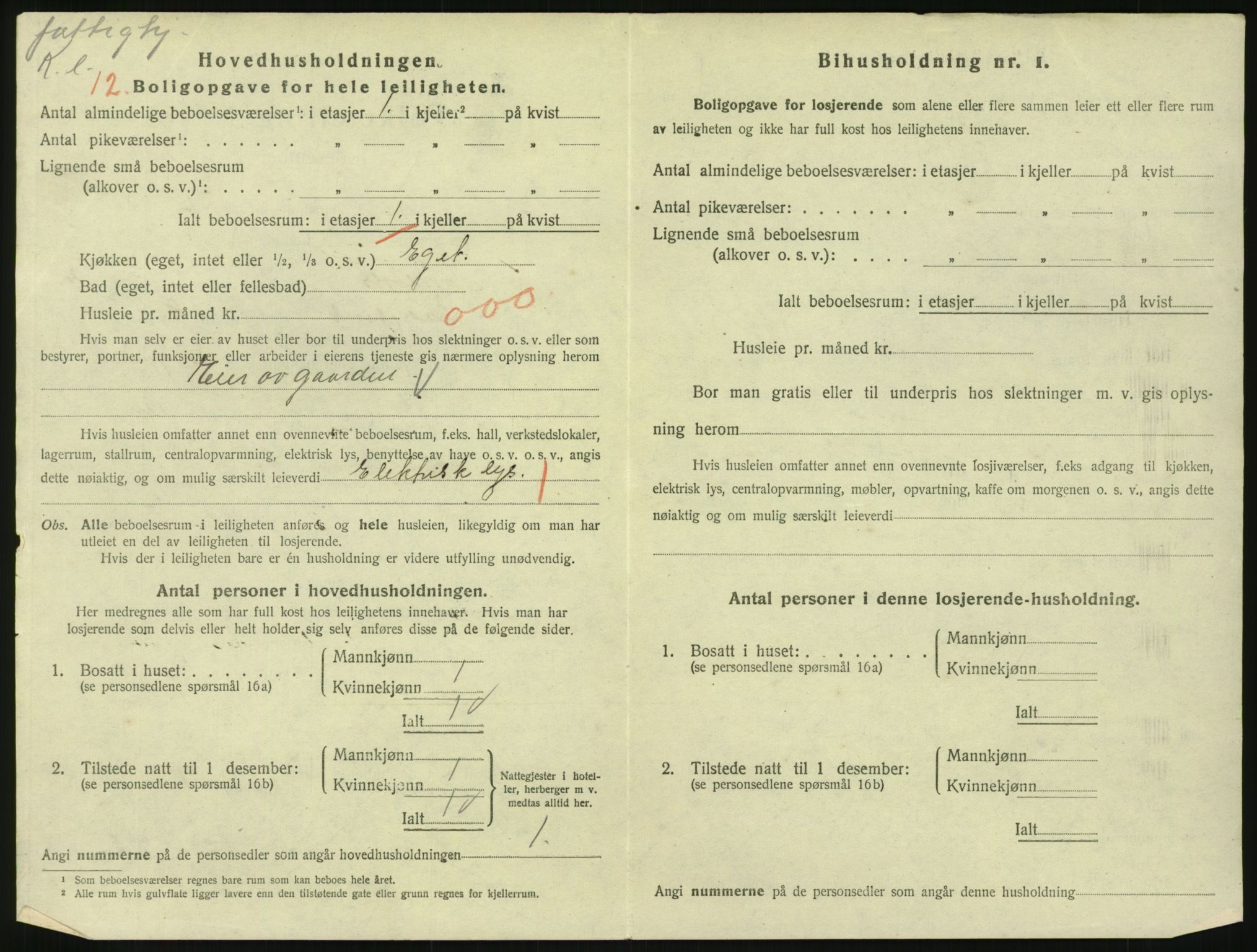 SAKO, 1920 census for Hønefoss, 1920, p. 1481