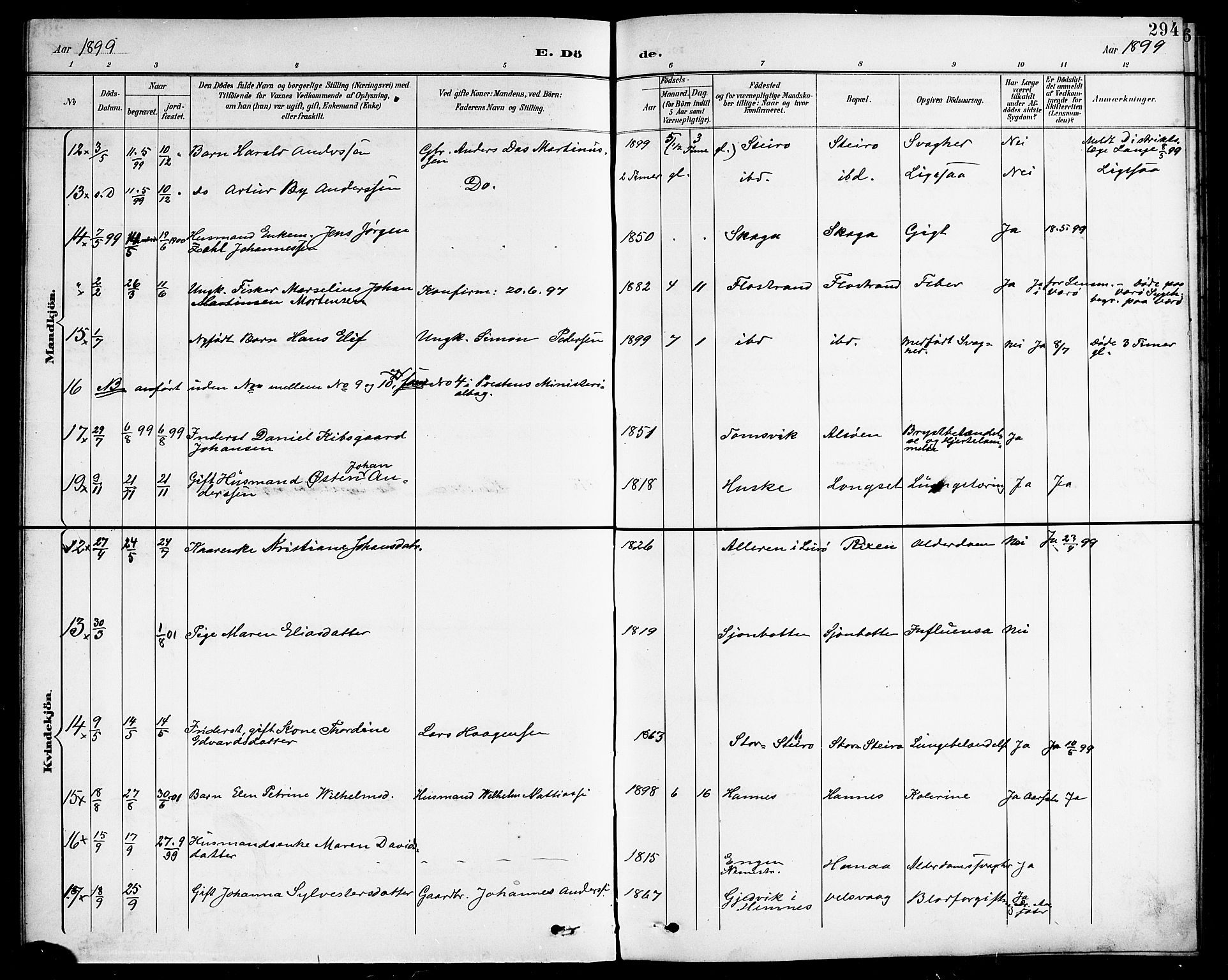 Ministerialprotokoller, klokkerbøker og fødselsregistre - Nordland, AV/SAT-A-1459/838/L0559: Parish register (copy) no. 838C06, 1893-1910, p. 294