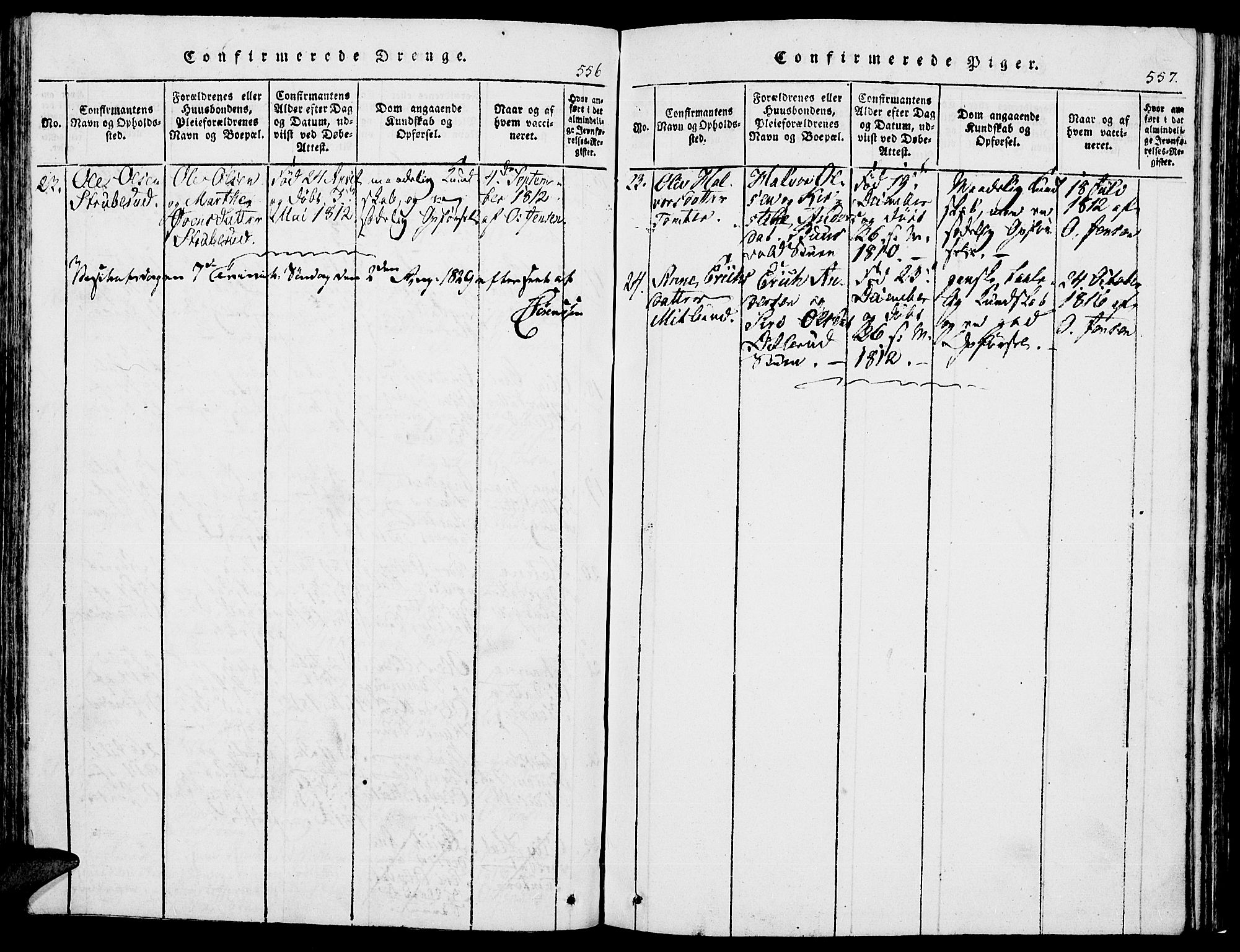 Romedal prestekontor, SAH/PREST-004/K/L0002: Parish register (official) no. 2, 1814-1828, p. 556-557