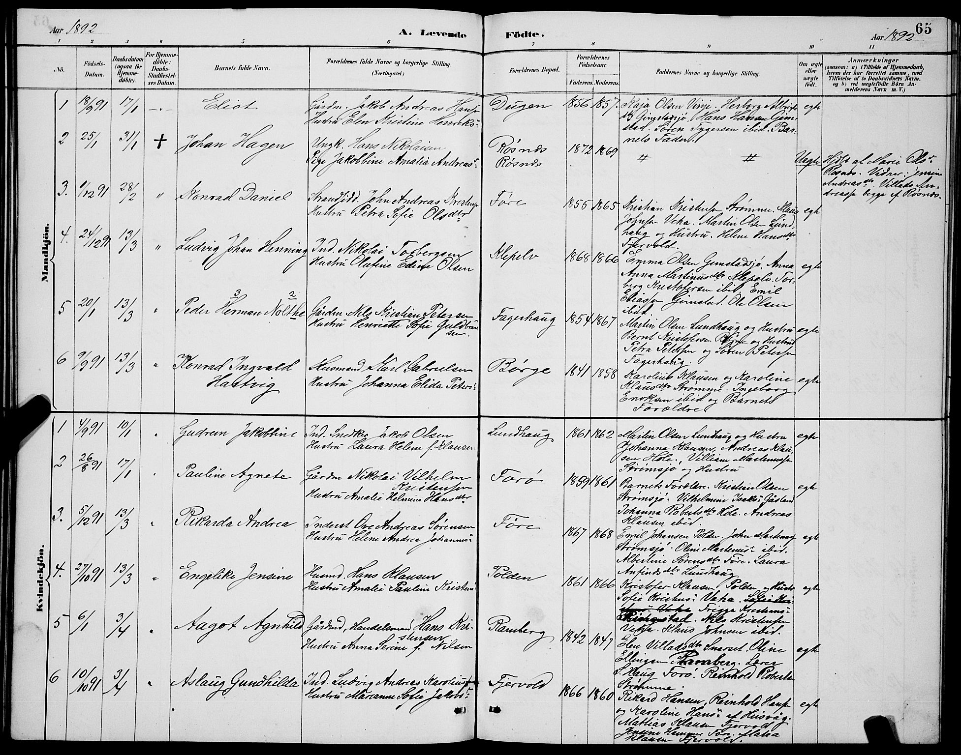 Ministerialprotokoller, klokkerbøker og fødselsregistre - Nordland, AV/SAT-A-1459/891/L1315: Parish register (copy) no. 891C04, 1886-1893, p. 65