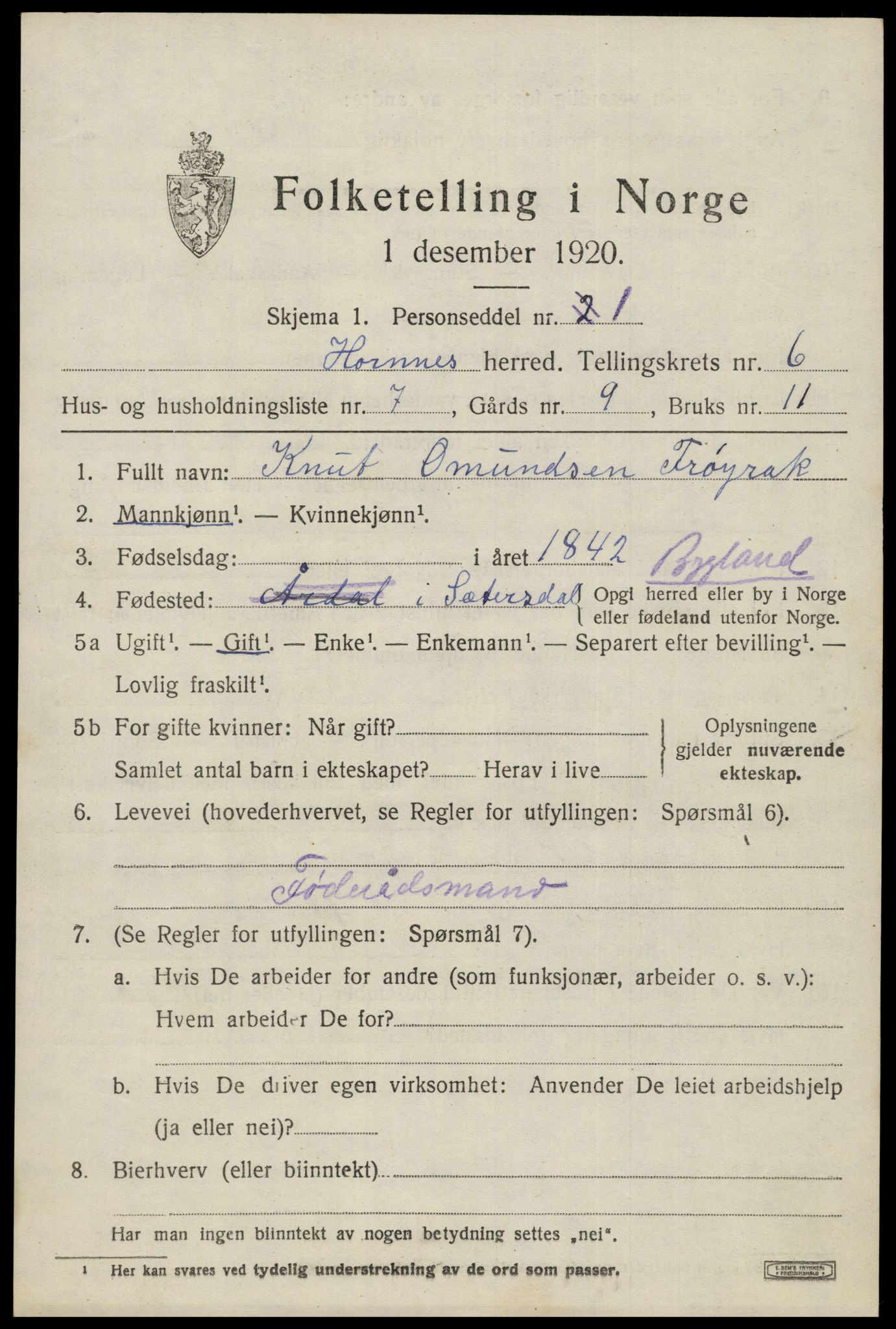 SAK, 1920 census for Hornnes, 1920, p. 1629