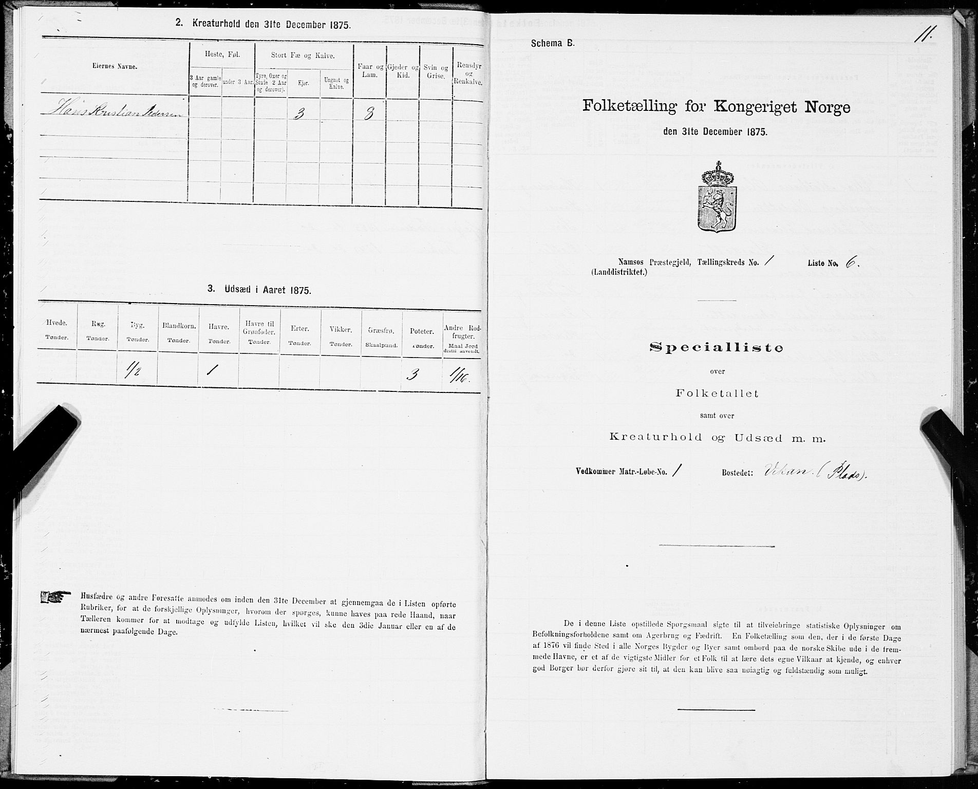 SAT, 1875 census for 1745L Namsos/Vemundvik og Sævik, 1875, p. 1011