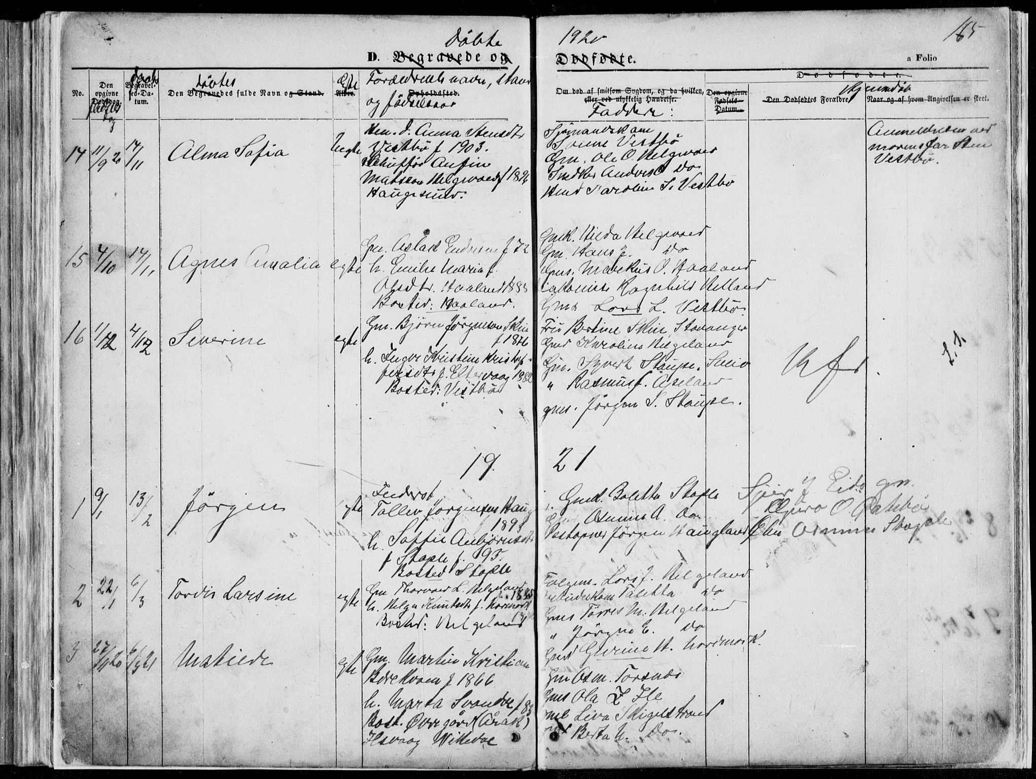 Vikedal sokneprestkontor, SAST/A-101840/01/V: Parish register (copy) no. B 10, 1864-1926, p. 165