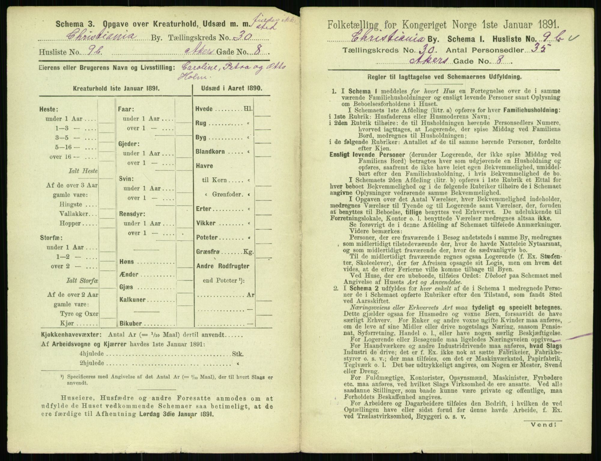 RA, 1891 census for 0301 Kristiania, 1891, p. 15555