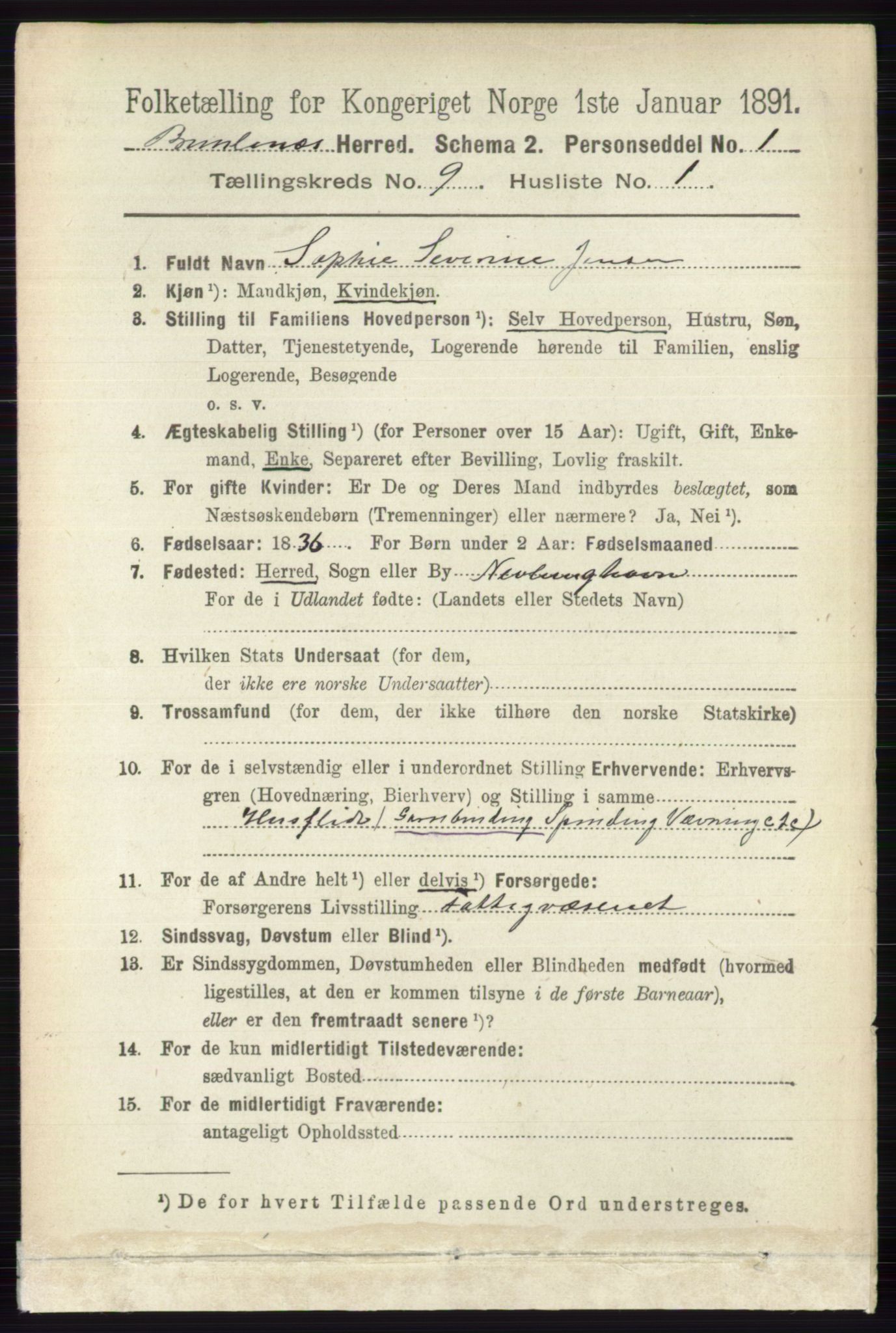 RA, 1891 census for 0726 Brunlanes, 1891, p. 4135