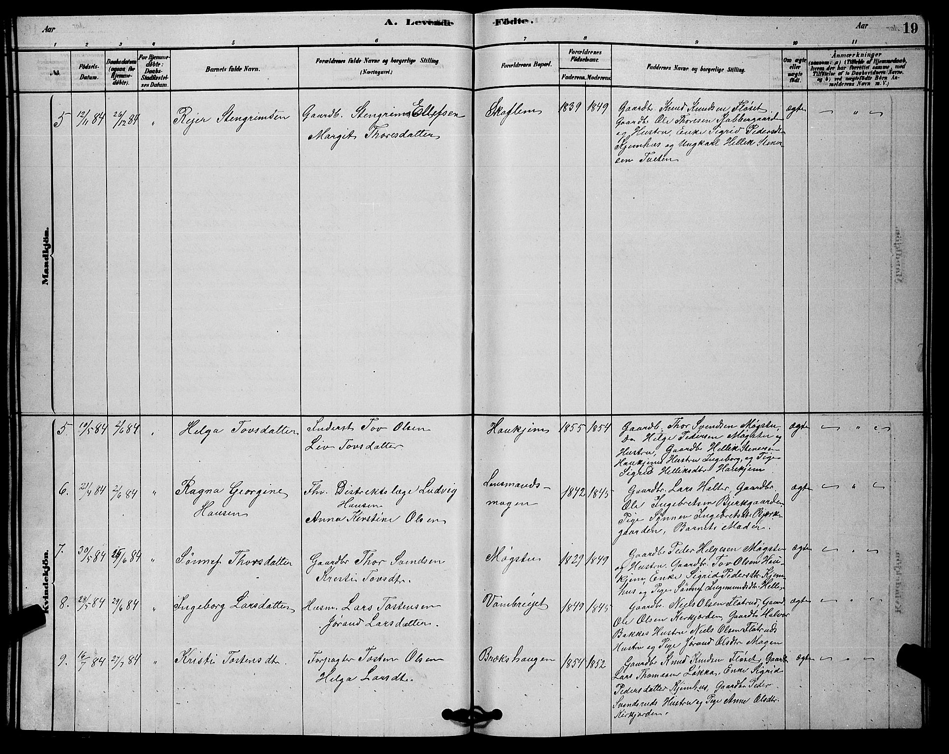 Rollag kirkebøker, AV/SAKO-A-240/G/Gb/L0002: Parish register (copy) no. II 2, 1878-1898, p. 19