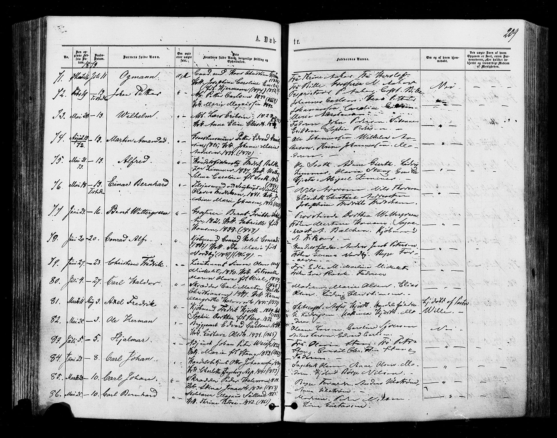 Halden prestekontor Kirkebøker, SAO/A-10909/F/Fa/L0009: Parish register (official) no. I 9, 1866-1877, p. 209