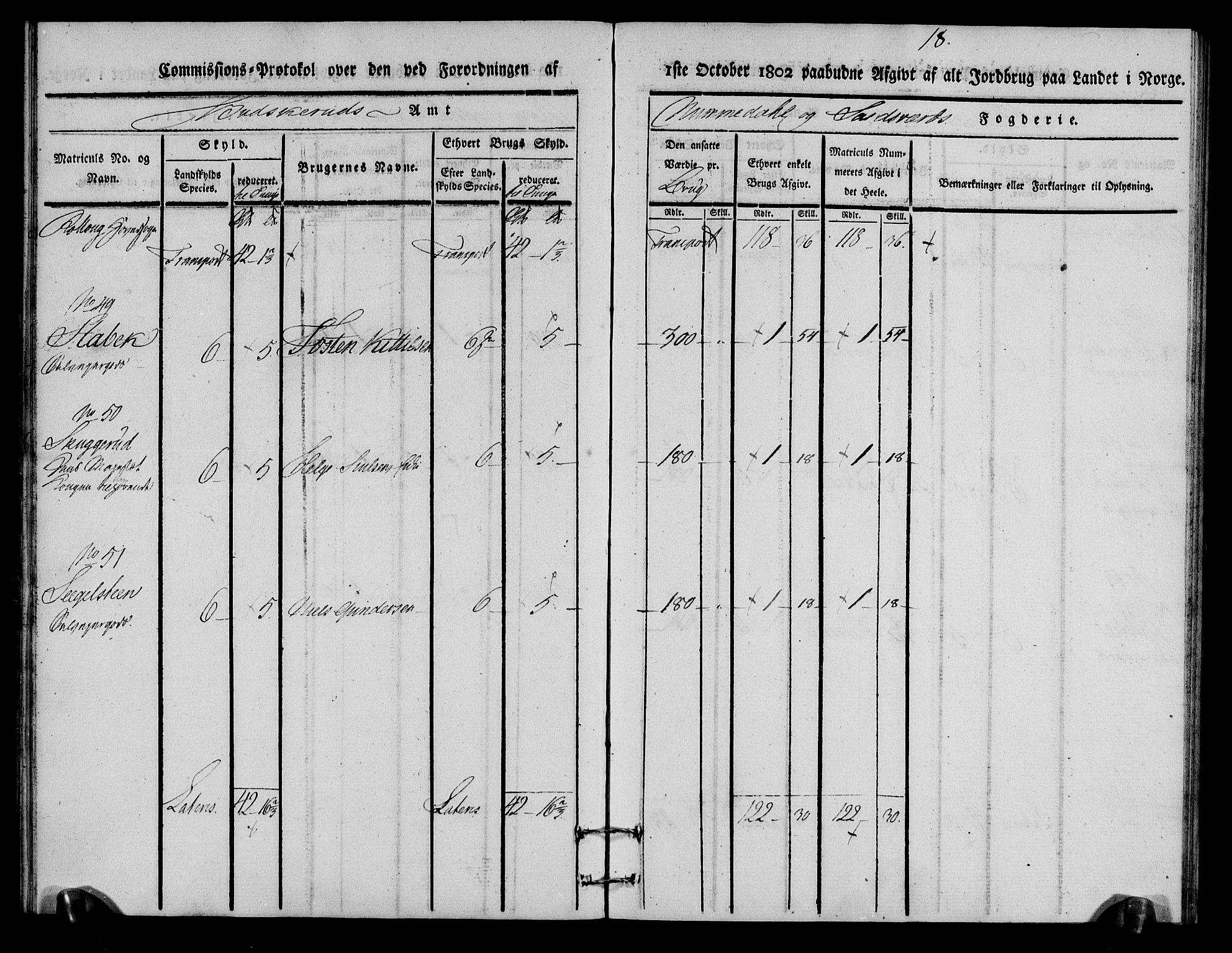 Rentekammeret inntil 1814, Realistisk ordnet avdeling, RA/EA-4070/N/Ne/Nea/L0056a: Numedal og Sandsvær fogderi. Kommisjonsprotokoll for Rollag hovedsogn og Veggli anneks, 1803, p. 19