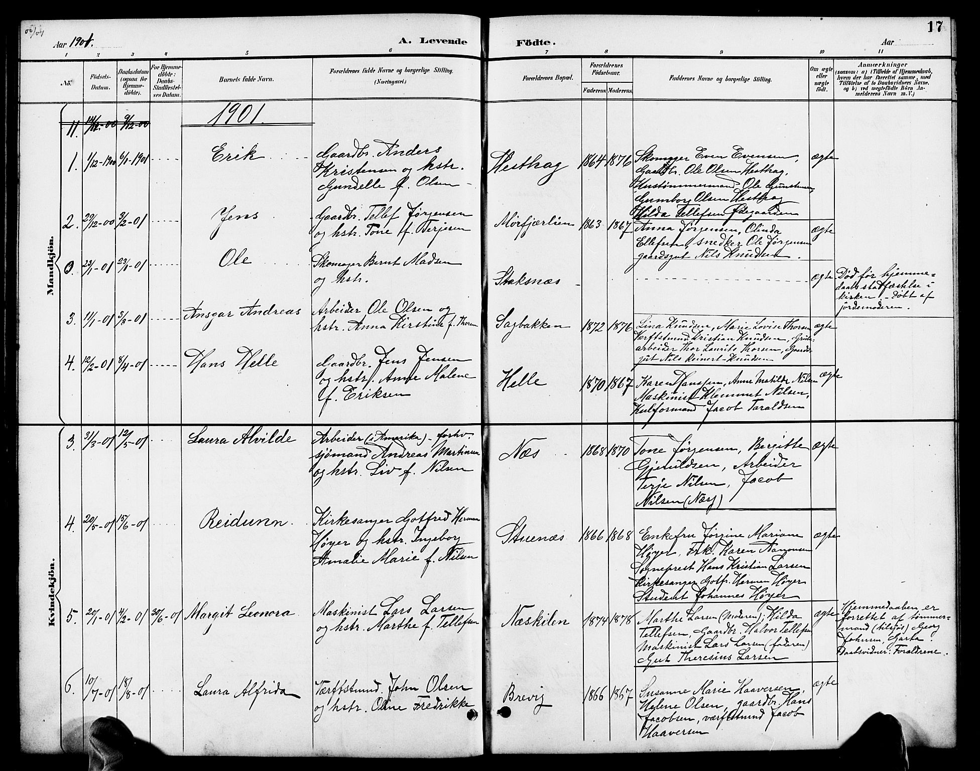 Austre Moland sokneprestkontor, AV/SAK-1111-0001/F/Fb/Fbb/L0002: Parish register (copy) no. B 2, 1894-1918, p. 17