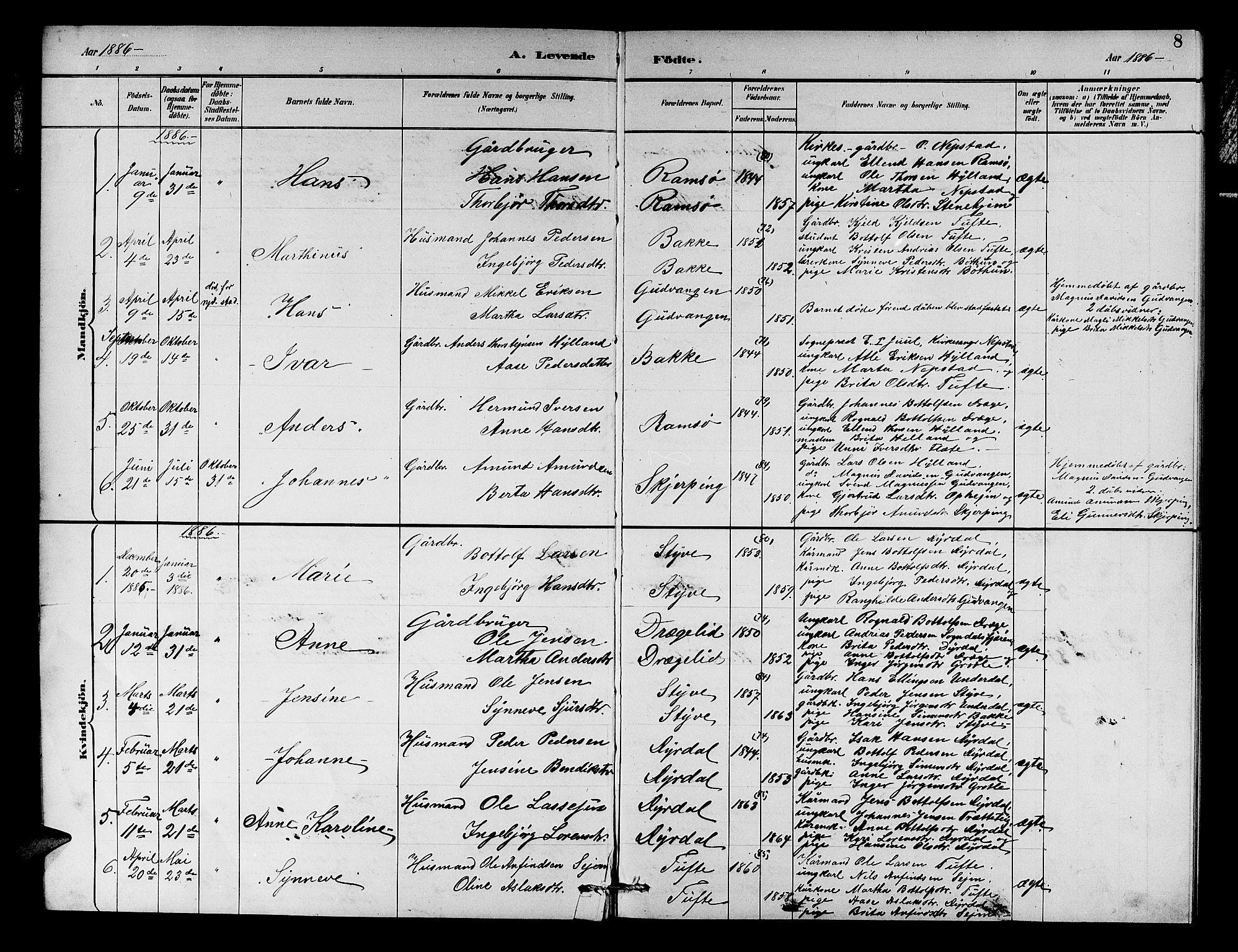 Aurland sokneprestembete, SAB/A-99937/H/Hb/Hbc/L0002: Parish register (copy) no. C 2, 1883-1900, p. 8