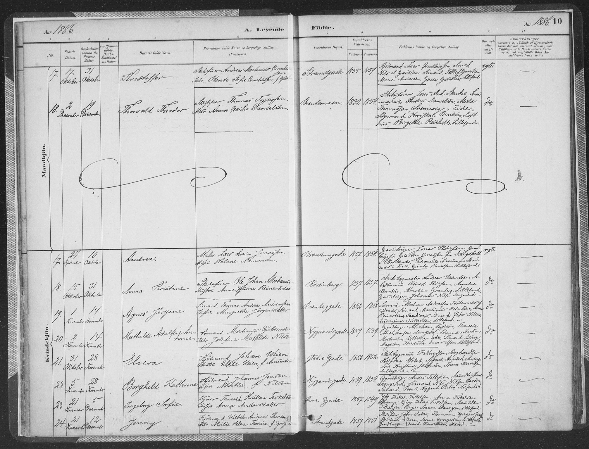 Vestre Moland sokneprestkontor, AV/SAK-1111-0046/F/Fa/Faa/L0001: Parish register (official) no. A 1, 1884-1899, p. 11