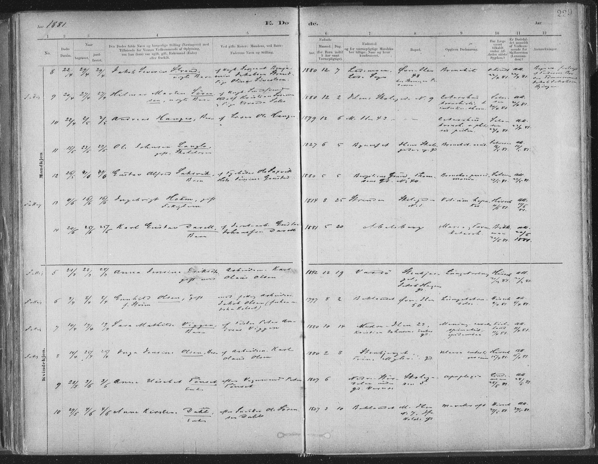 Ministerialprotokoller, klokkerbøker og fødselsregistre - Sør-Trøndelag, AV/SAT-A-1456/603/L0162: Parish register (official) no. 603A01, 1879-1895, p. 229