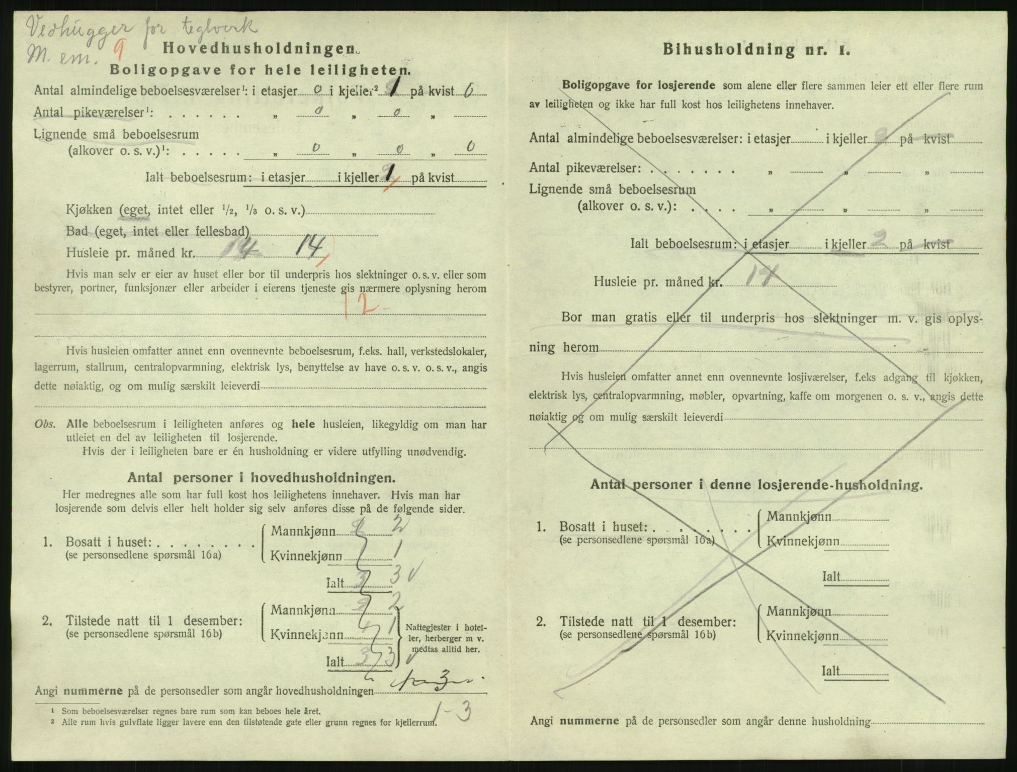 SAKO, 1920 census for Hønefoss, 1920, p. 2117